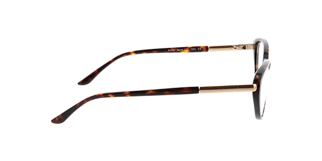 Gloria Havana  &  Gold AcetatEyeglass Frames von B24, Seitenansicht