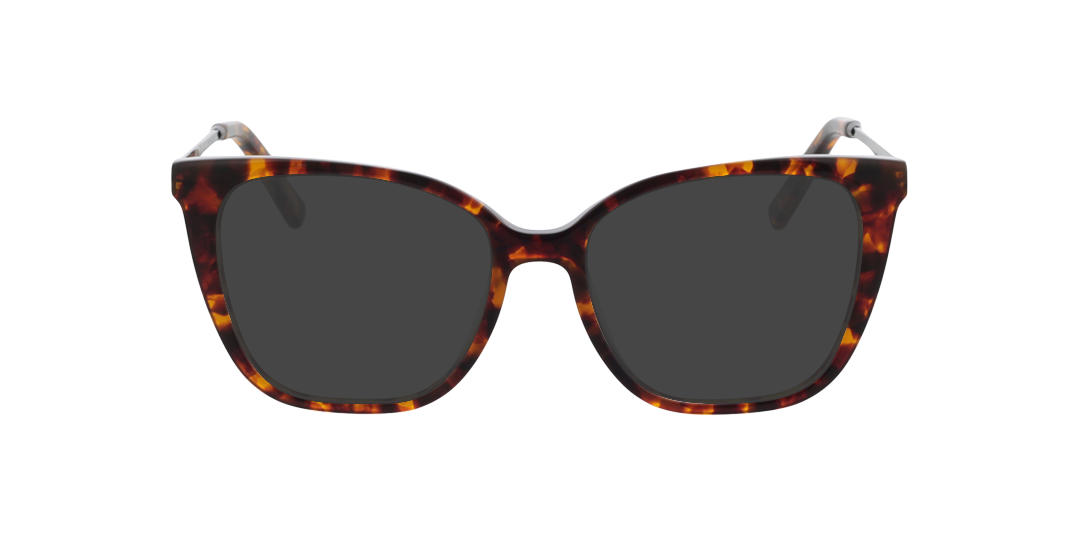 Joyce Havana  &  glanzend zwart AcetaatEyeglass Frames van B24, met getinte lenzen