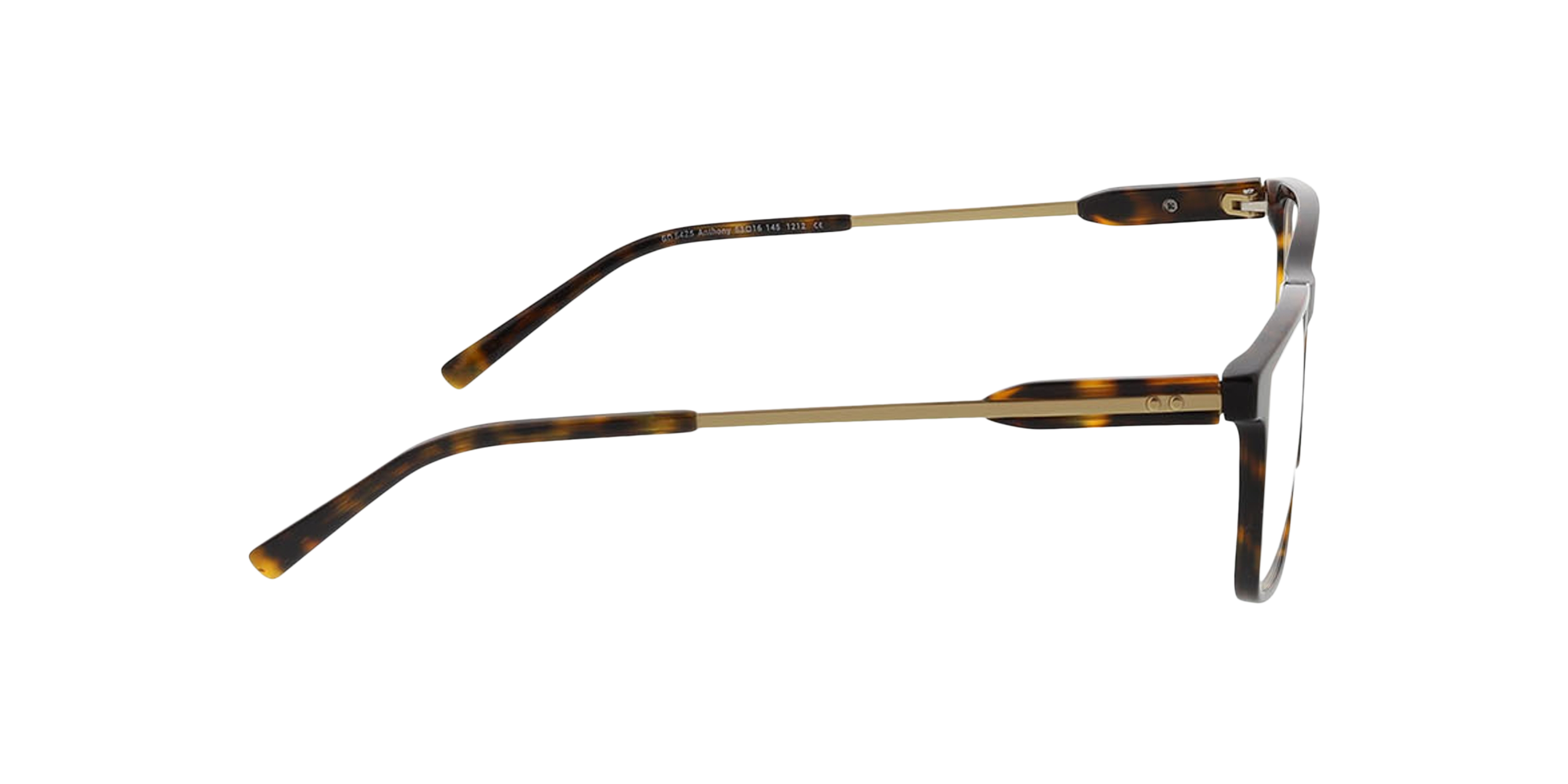 Anthony Havana AcetatEyeglass Frames von B24, Seitenansicht