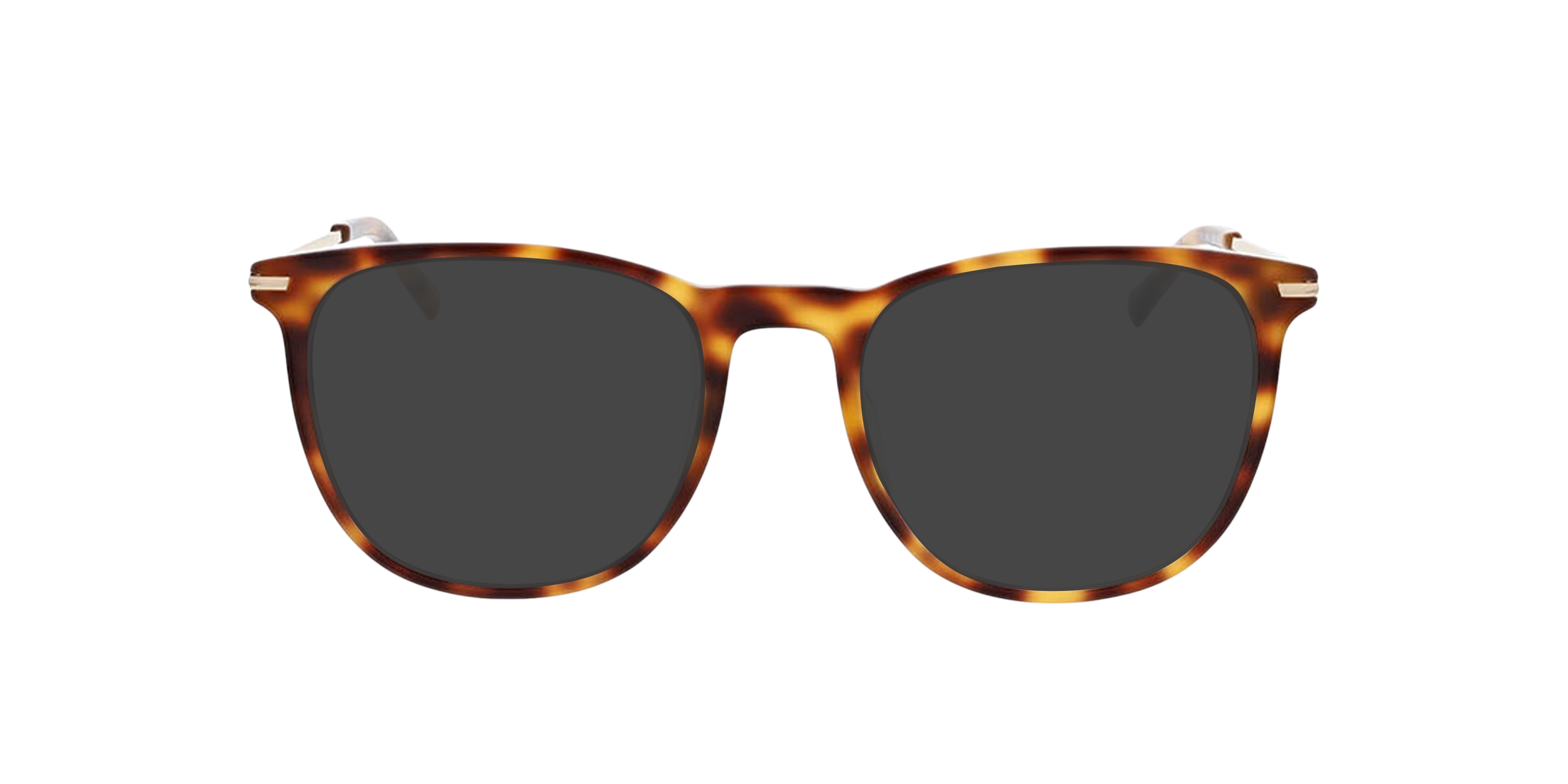 Bradford Havana AcetatEyeglass Frames von B24, mit getönten Gläsern