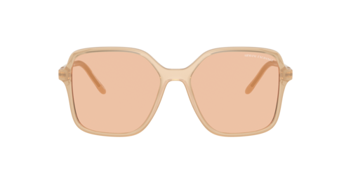 Armani Exchange - AX4163S, Damen, Shiny Opal Tundra/Shiny Black, Größe: Large