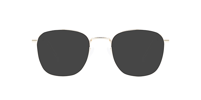 Richy Light Gold Titanium TitanEyeglass Frames von B24, mit getönten Gläsern