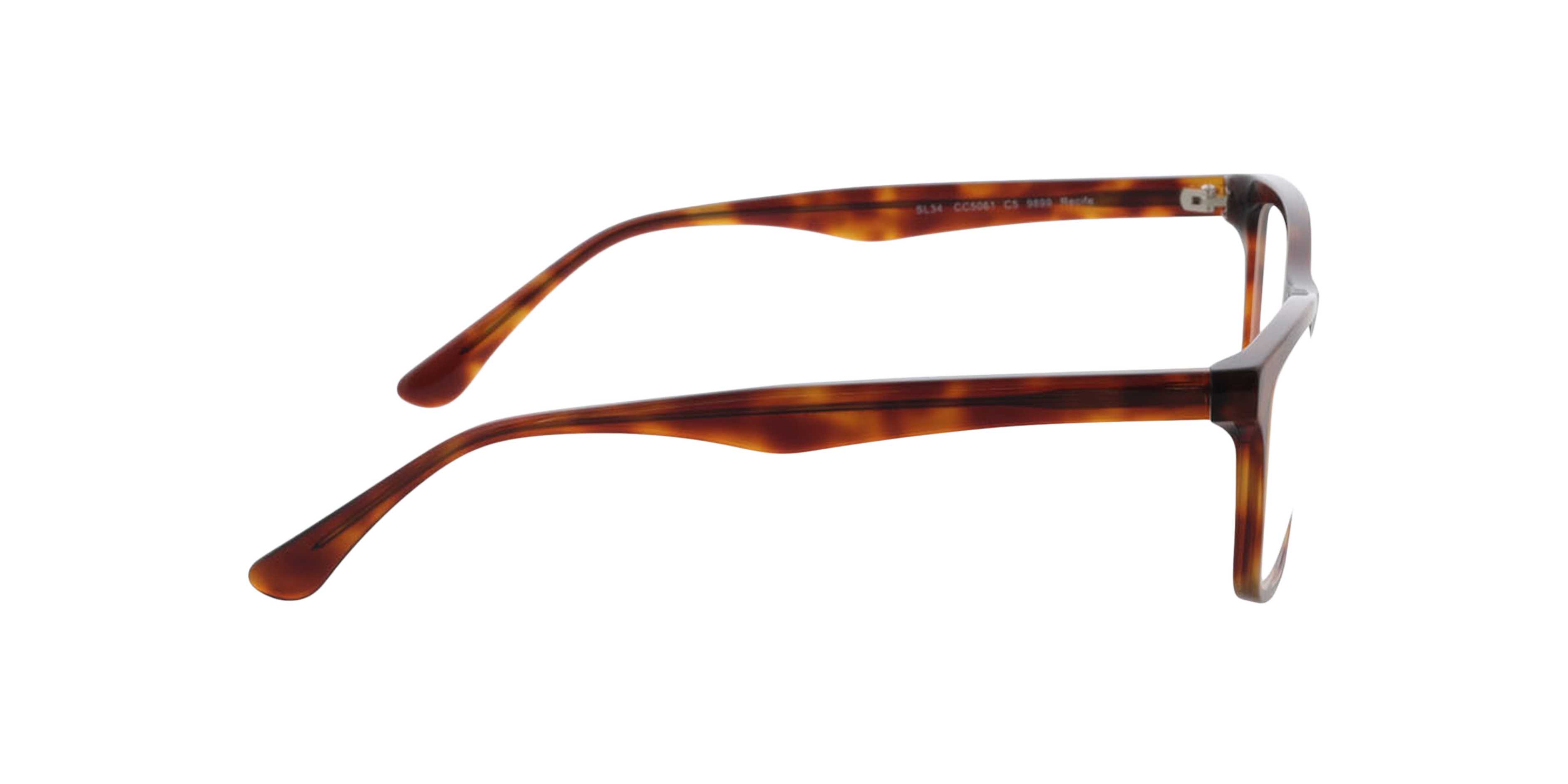 Recife Bruin AcetaatEyeglass Frames van B24, Zijaanzicht