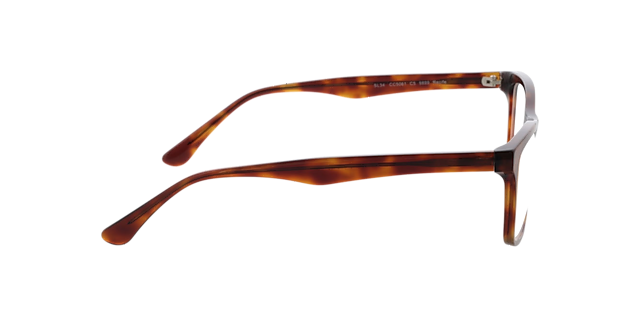 Recife Bruin AcetaatEyeglass Frames van B24, Zijaanzicht