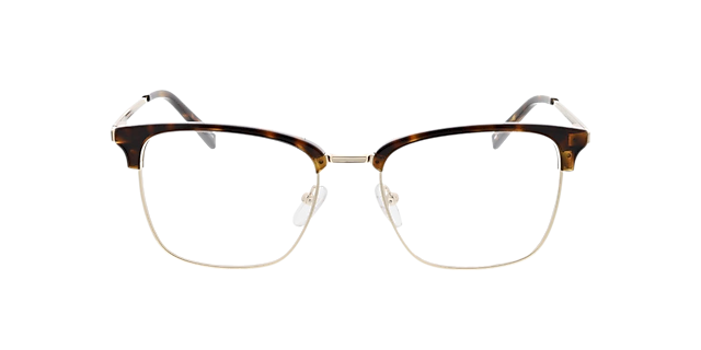 Tupelo Havana  &  glanzend goud MetaalEyeglass Frames van B24, Vooraanzicht