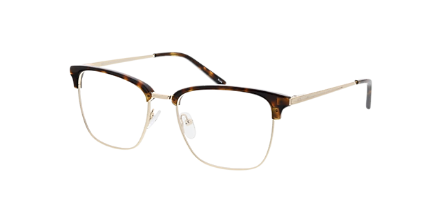 Tupelo Havana  &  glanzend goud MetaalEyeglass Frames van B24, Hoekweergave
