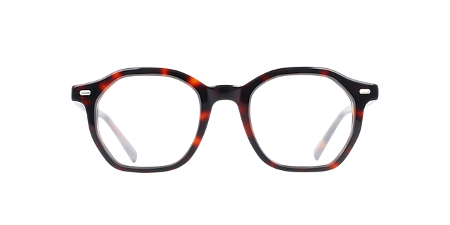 Miles Havana Braun AcetatEyeglass Frames von B24, Vorderansicht