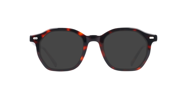 Miles Havana Braun AcetatEyeglass Frames von B24, mit getönten Gläsern