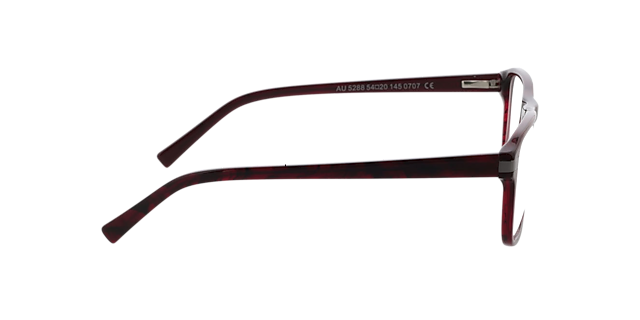 Torrance Rood hoorn & gunmetal AcetaatEyeglass Frames van B24, Zijaanzicht