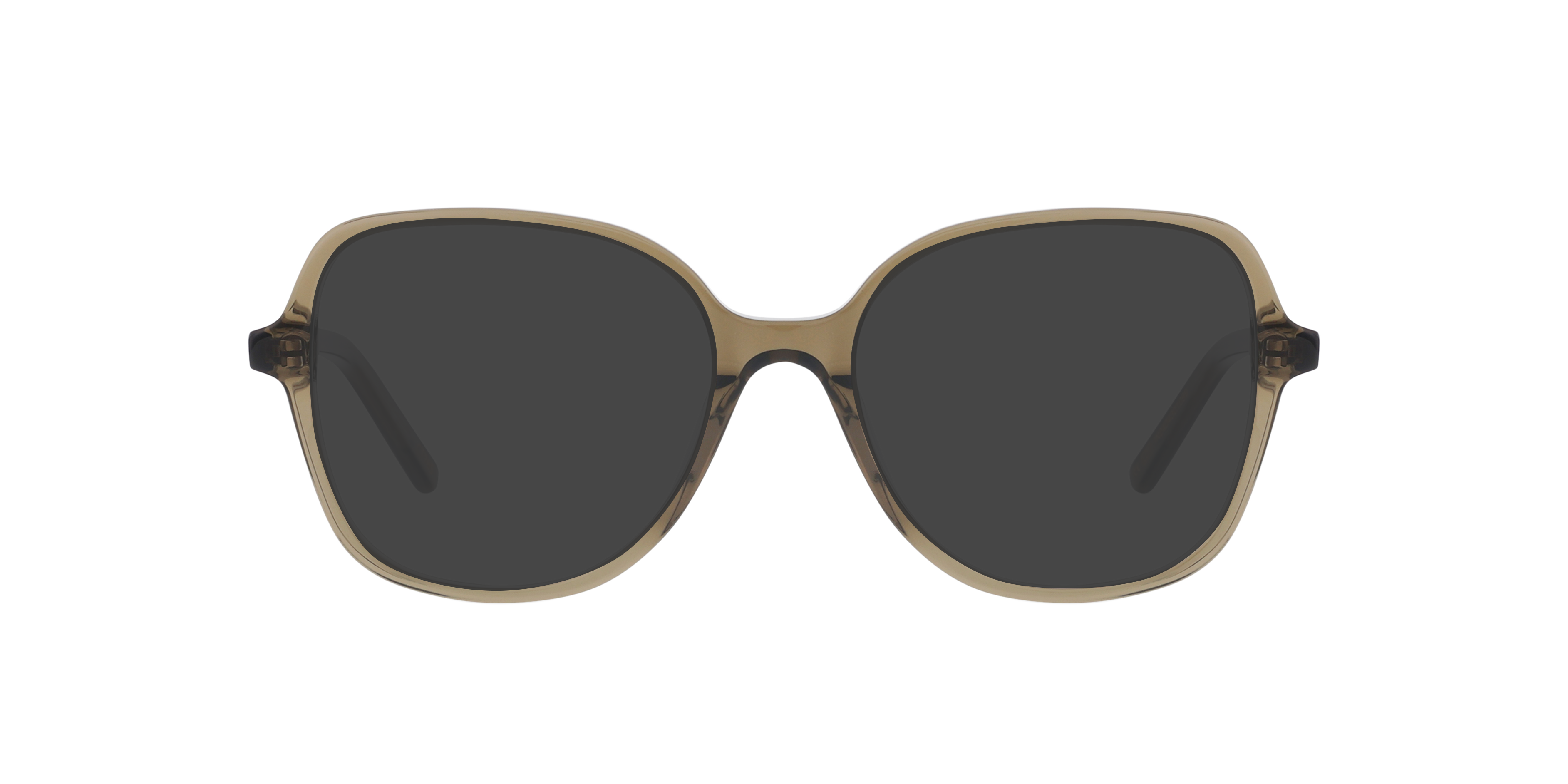 Darya Crystal Safari AcetaatEyeglass Frames van B24, met getinte lenzen