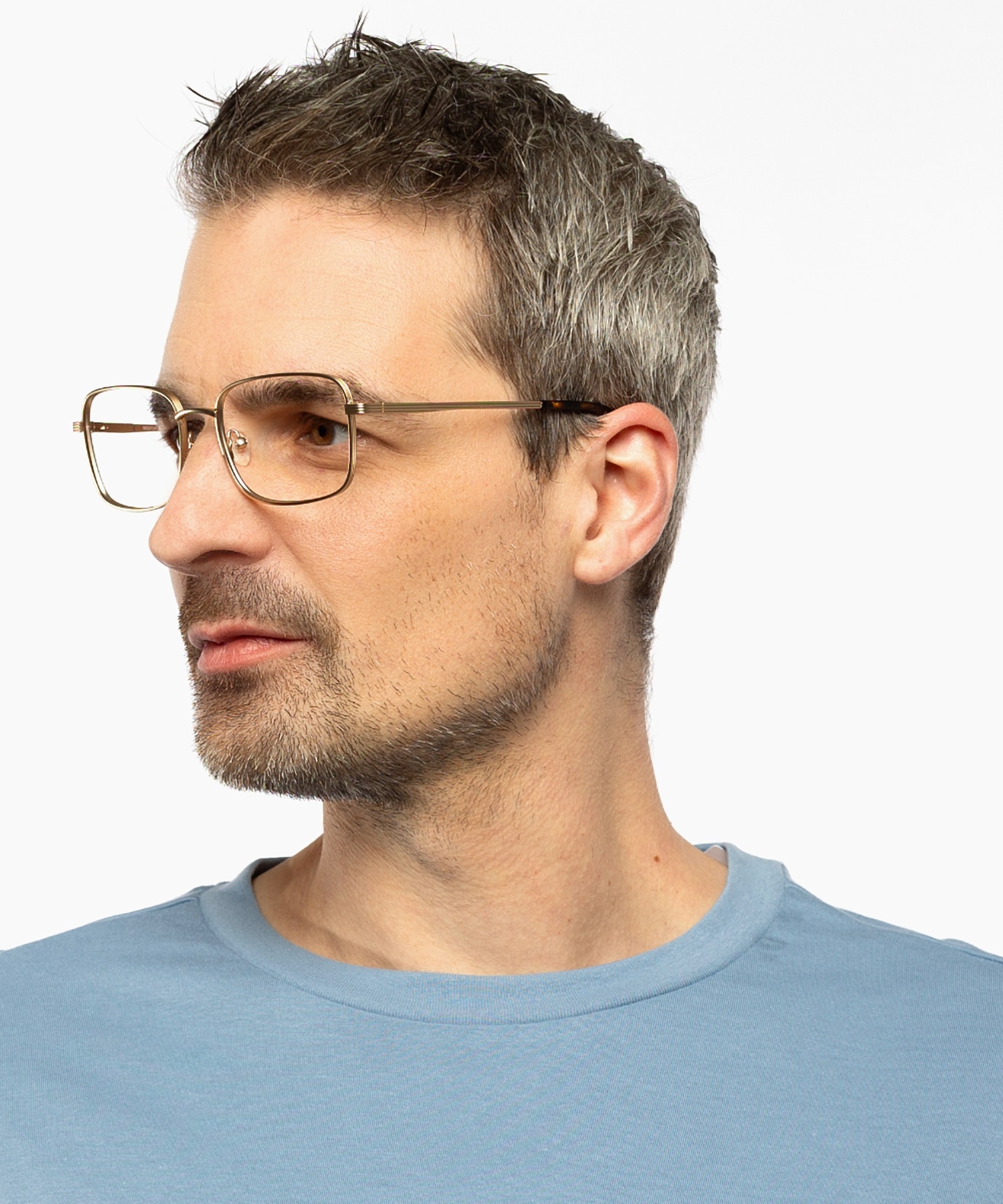 Harry Mat lichtgoud MetaalEyeglass Frames voor heren van B24