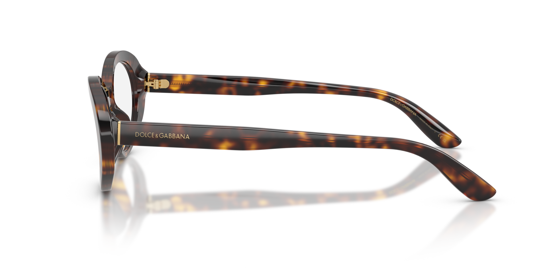 DG3450 Havana AcetatEyeglass Frames von B24, Seitenansicht