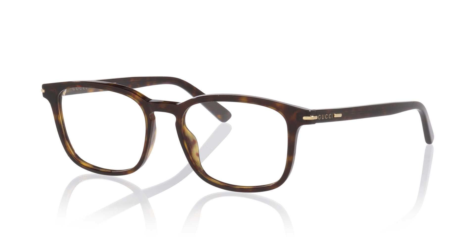 Gg2129O Tortoise AcetaatEyeglass Frames van B24, Hoekweergave