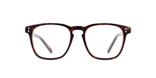 Charlie Temple - Stanton, Moonlight Tortoise/Jet Black/Hazel Tortoise, Größe: Durchschnittlich