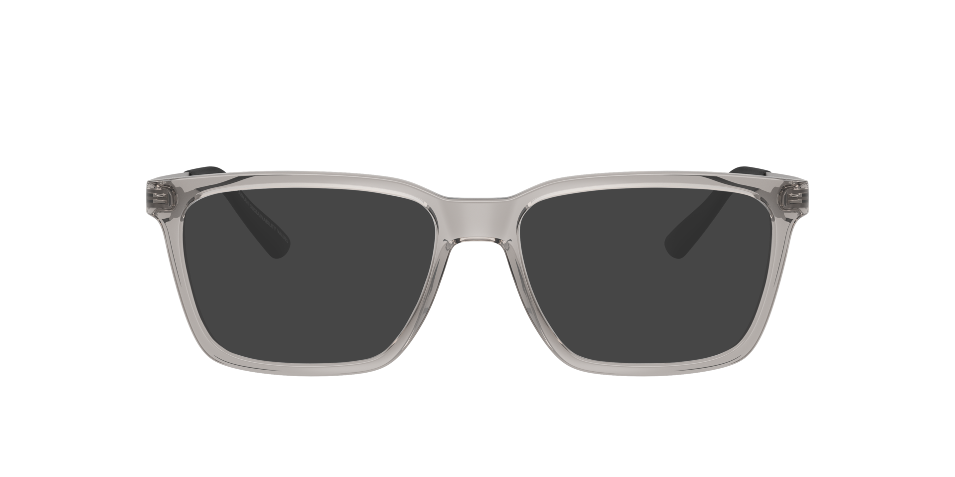 Glänzendes transparentes Grau AX3103 -  Plastic Sonnenbrillen