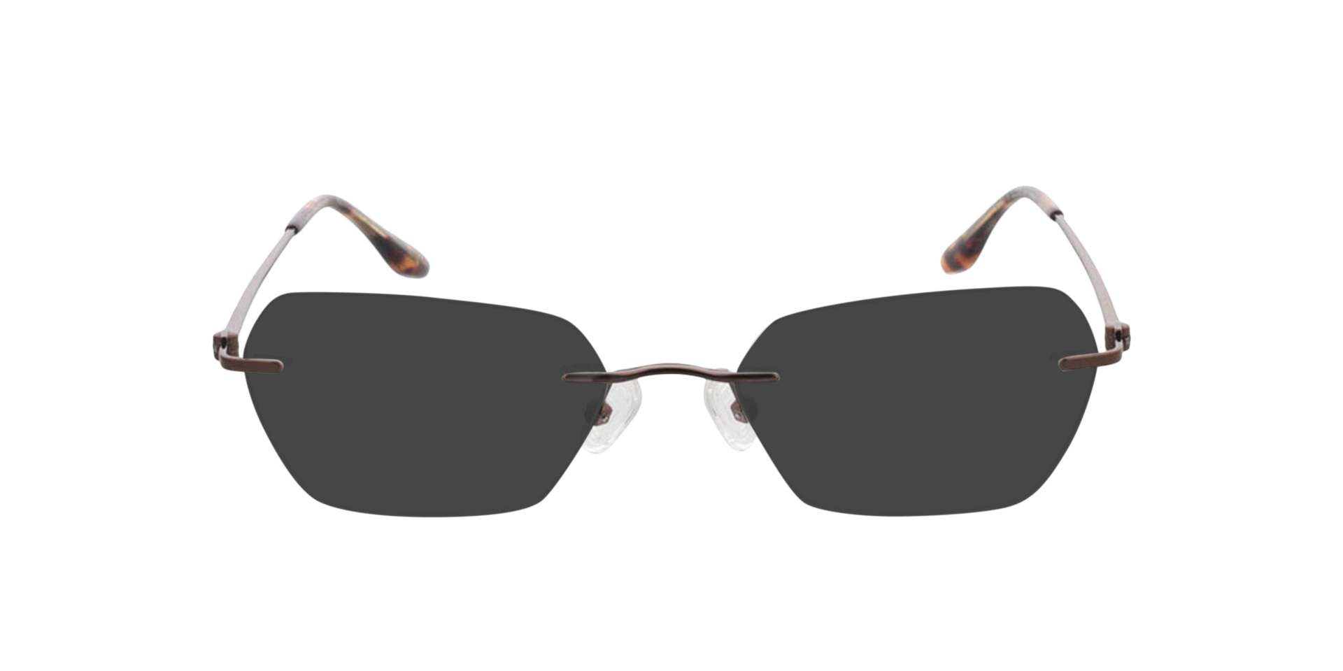 Westwood Bruin MetaalEyeglass Frames van B24, met getinte lenzen