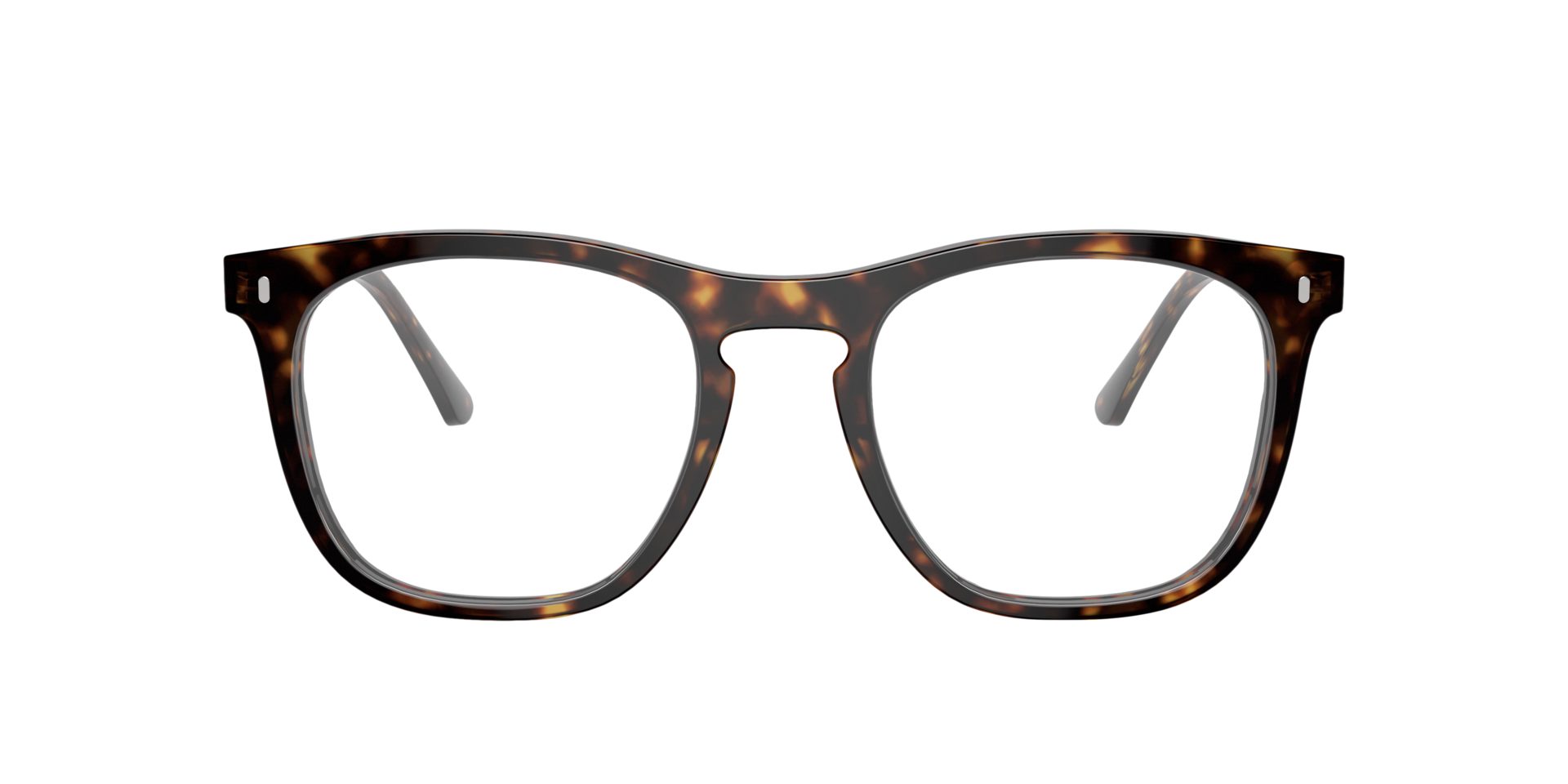 RB2210V Havana AcetatEyeglass Frames von B24, Vorderansicht
