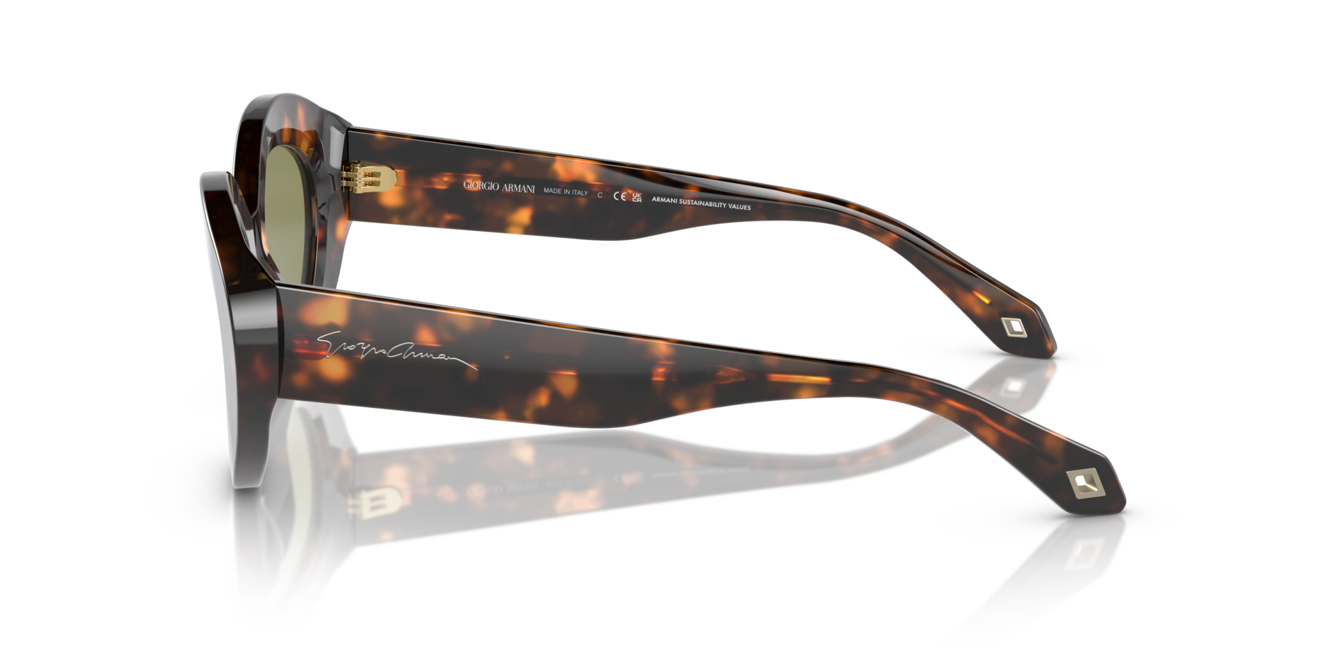 AR8188 Honing Havana AcetaatSunglass Frames van B24, Zijaanzicht