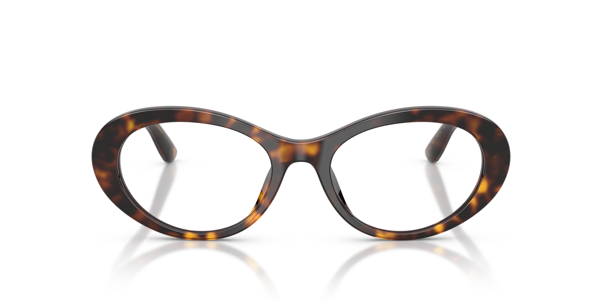DG3450 Havana AcetatEyeglass Frames von B24, Vorderansicht