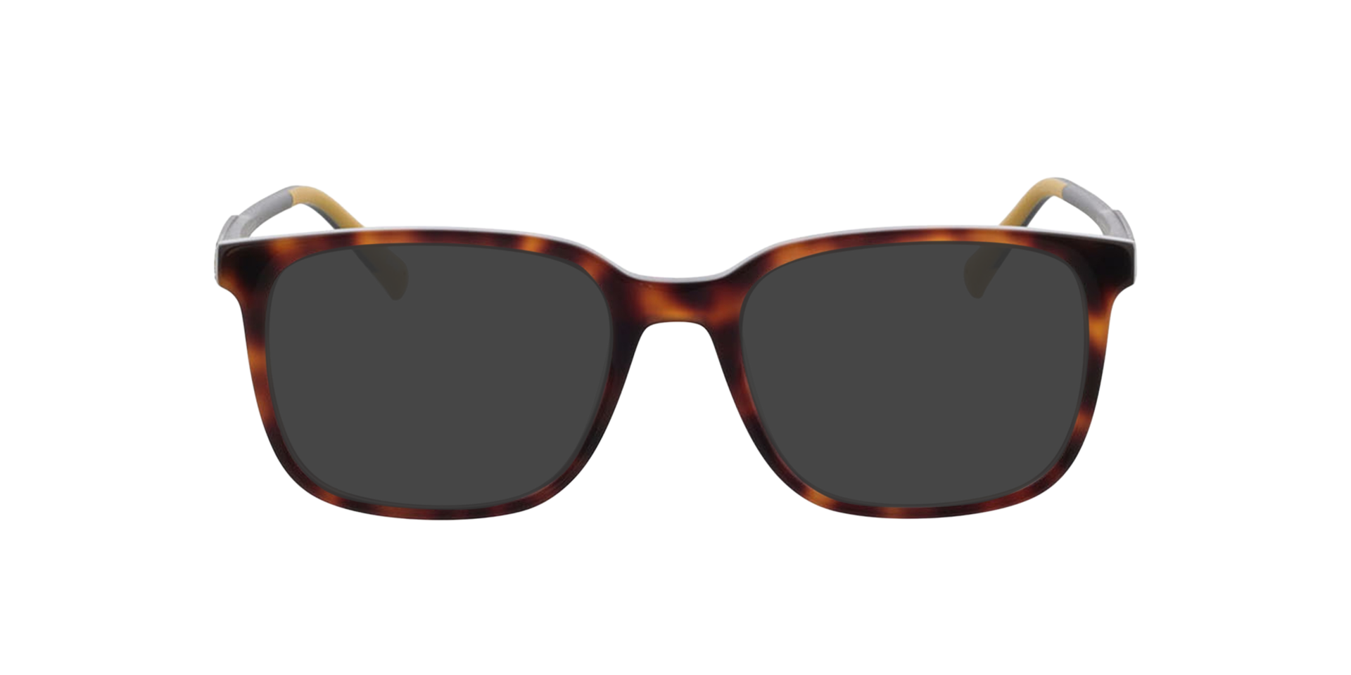 Phoenix Havana AcetatEyeglass Frames von B24, mit getönten Gläsern