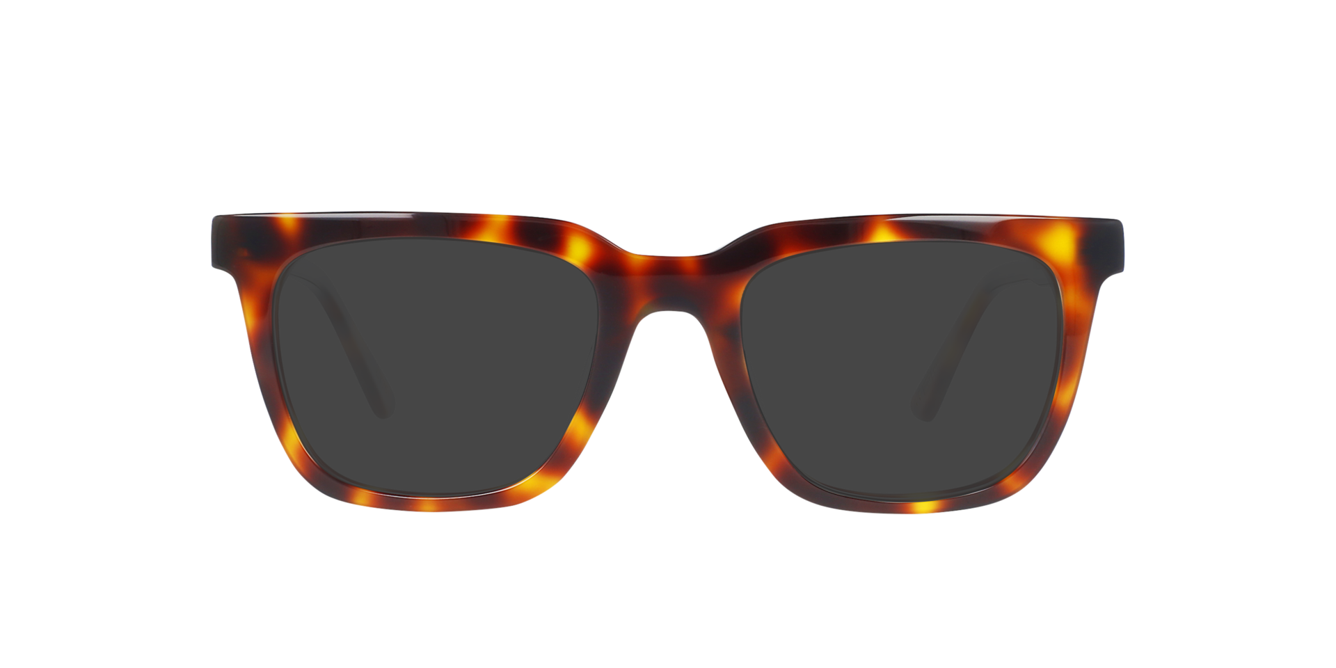 Vince Havana Cigars AcetaatEyeglass Frames van B24, met getinte lenzen