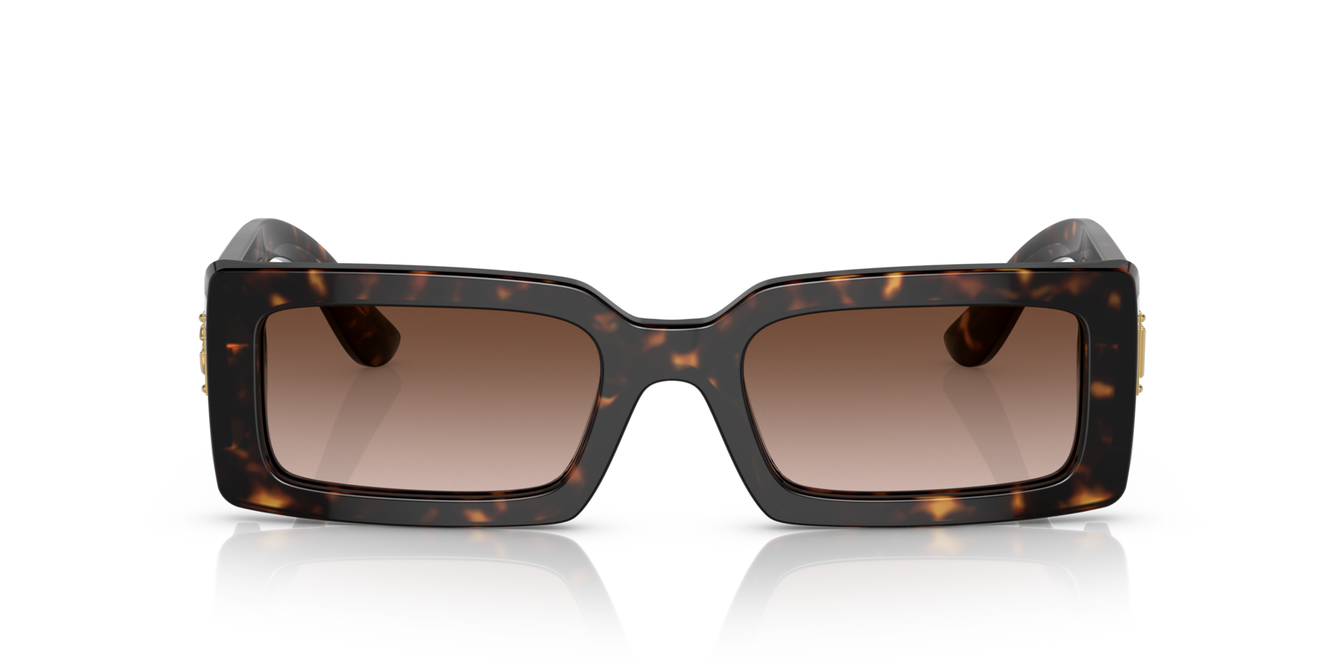 DG4416 Havana AcetatSunglass Frames von B24, Vorderansicht