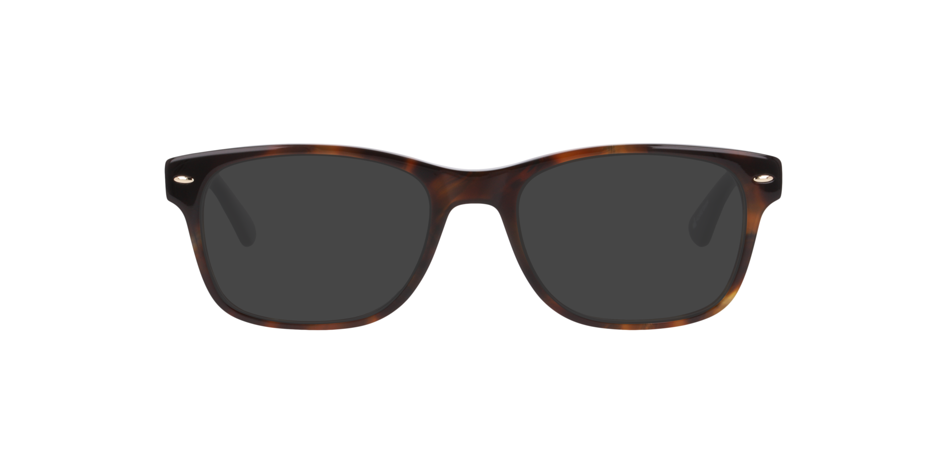 Summerville Havana AcetaatEyeglass Frames van B24, met getinte lenzen