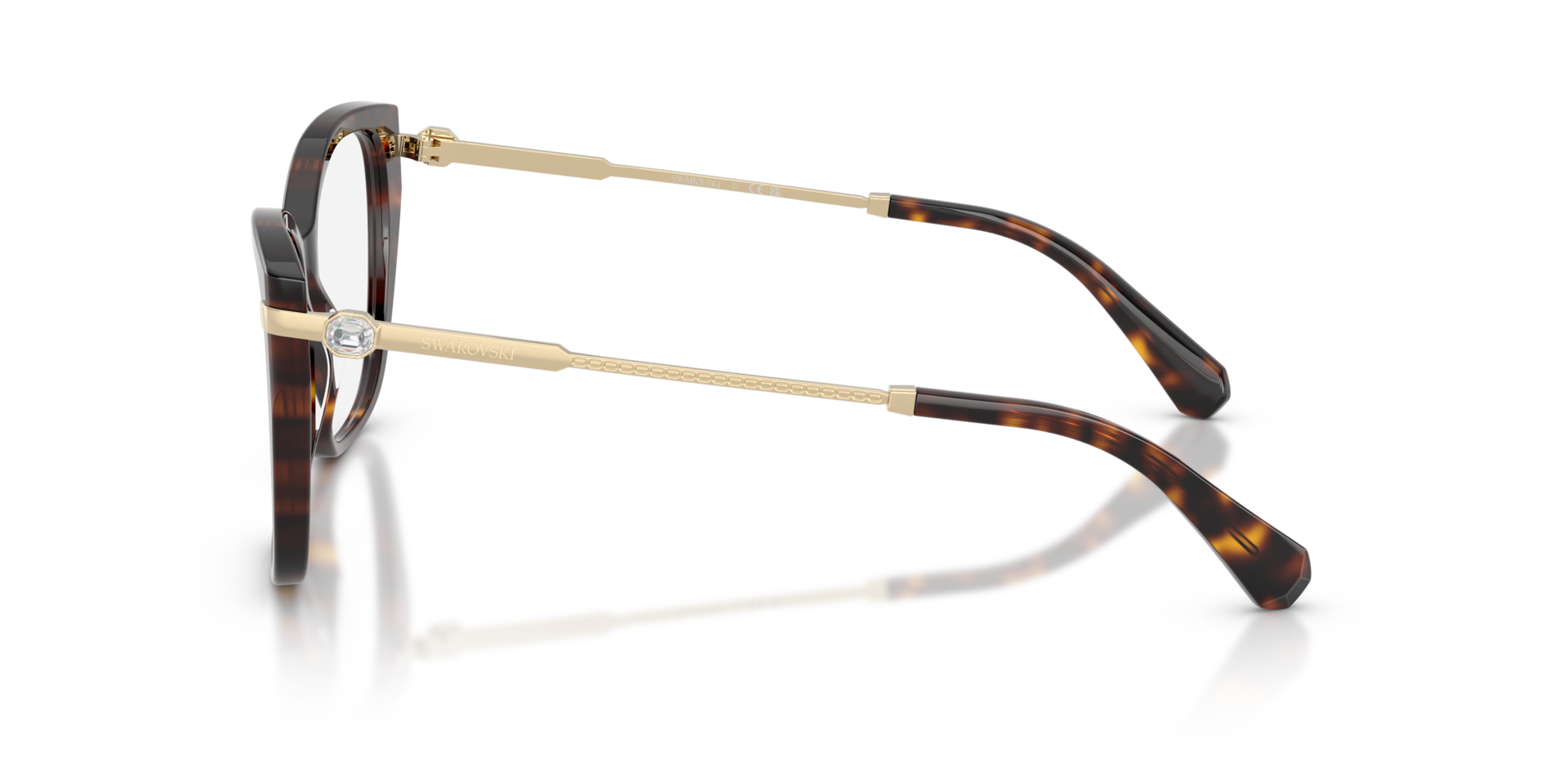 SK2060 Havana AcetatEyeglass Frames von B24, Seitenansicht