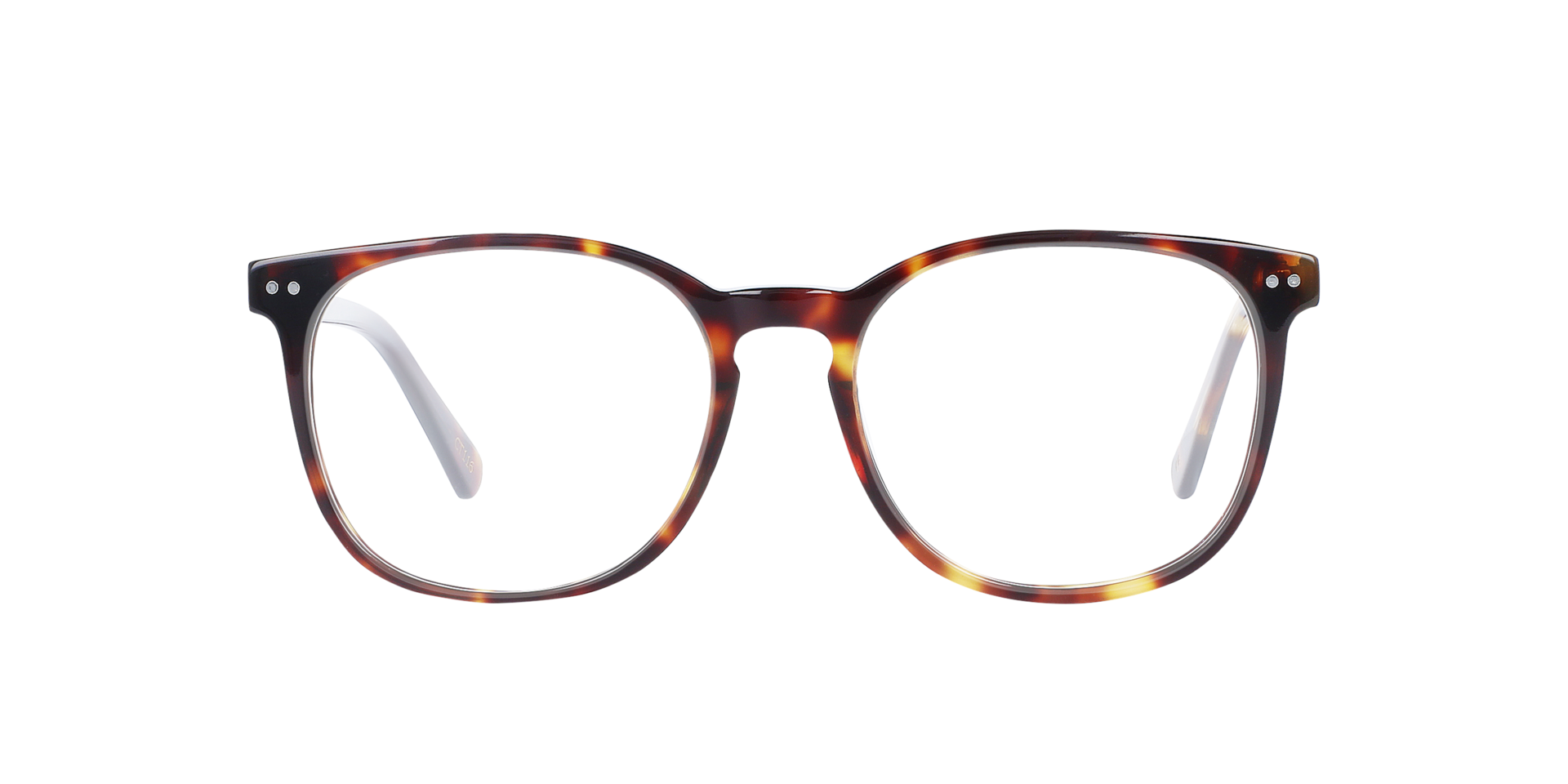 BARRON Moonlight Tortoise AcetaatEyeglass Frames van B24, Vooraanzicht