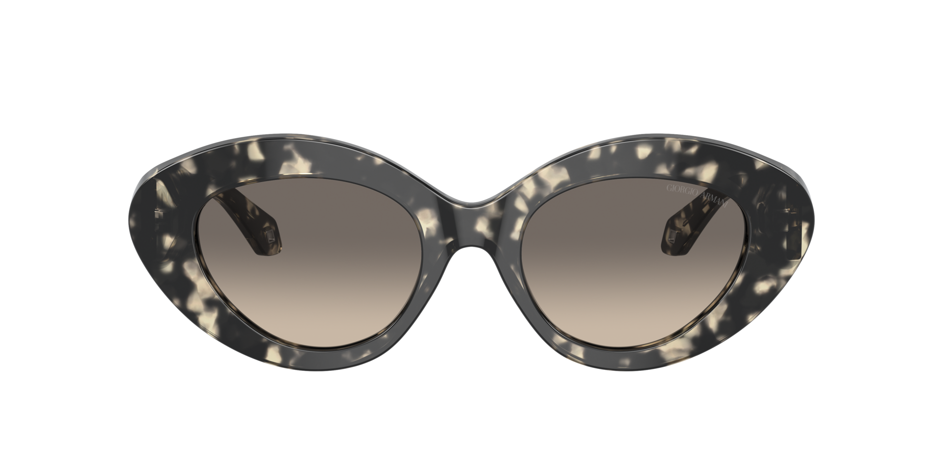 AR8188 Havana Grau AcetatSunglass Frames von B24, mit getönten Gläsern