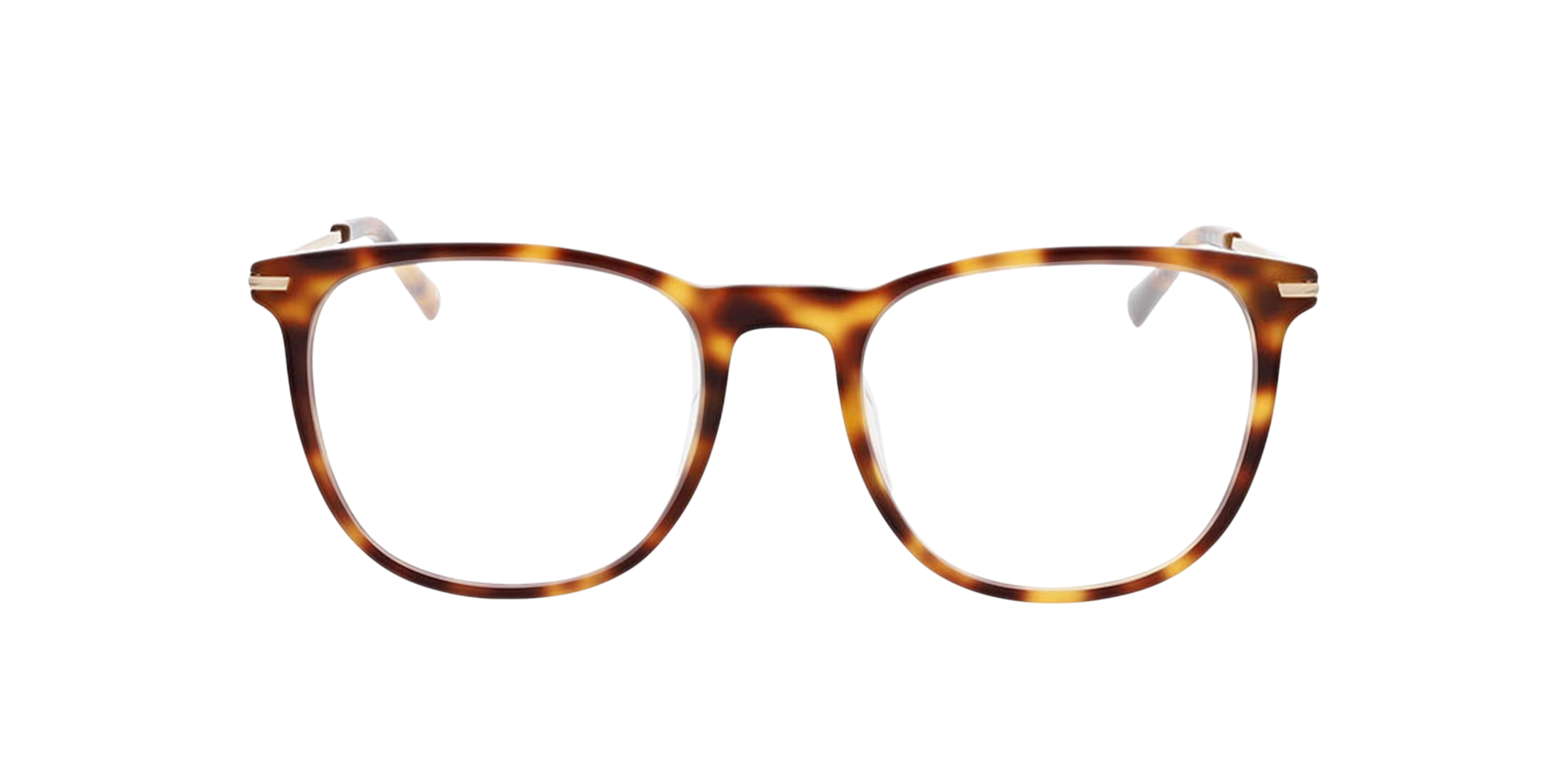 Bradford Havana AcetatEyeglass Frames von B24, Vorderansicht