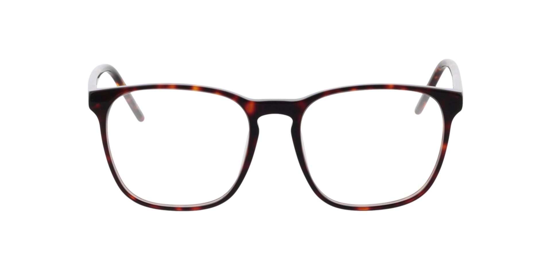 Havana Malmö -  Acetate Brillen