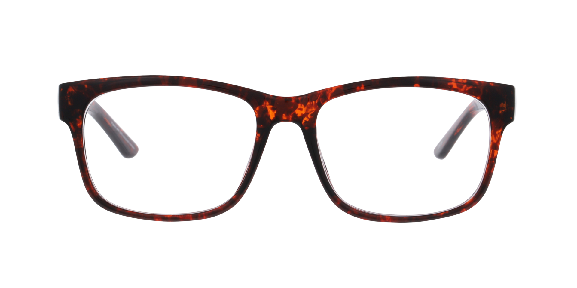 Linea Havana KunststofEyeglass Frames van B24, Vooraanzicht