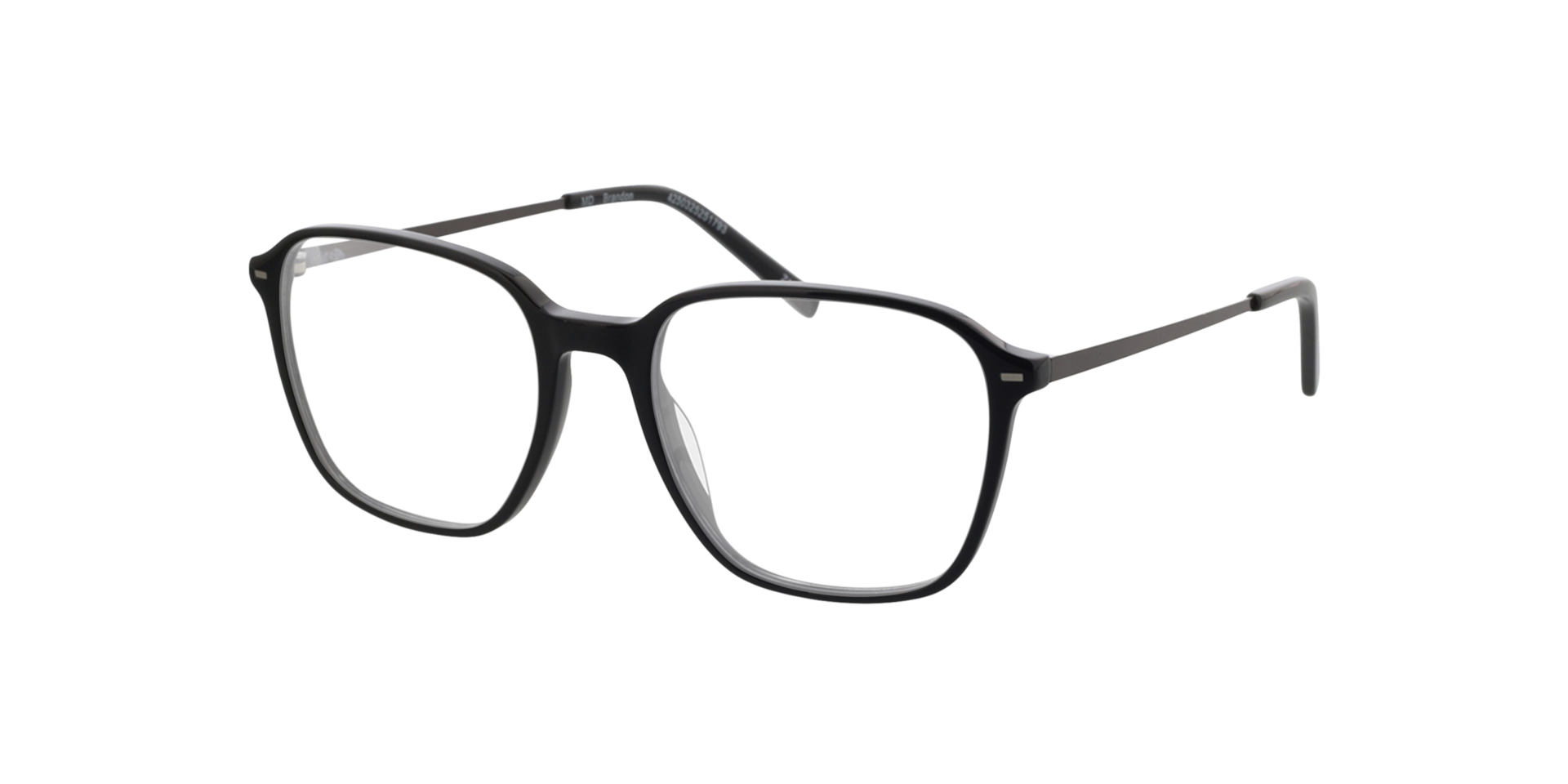 Brandon Zwart  &  mat gunmetal AcetaatEyeglass Frames van B24, Hoekweergave