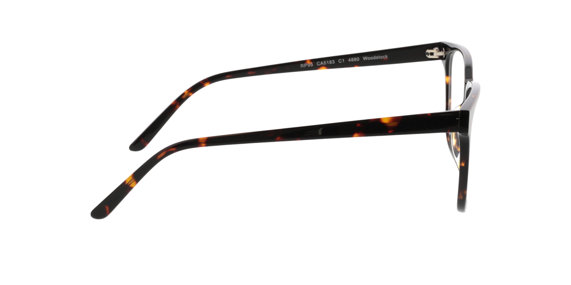 Woodstock Bruin AcetaatEyeglass Frames van B24, Zijaanzicht