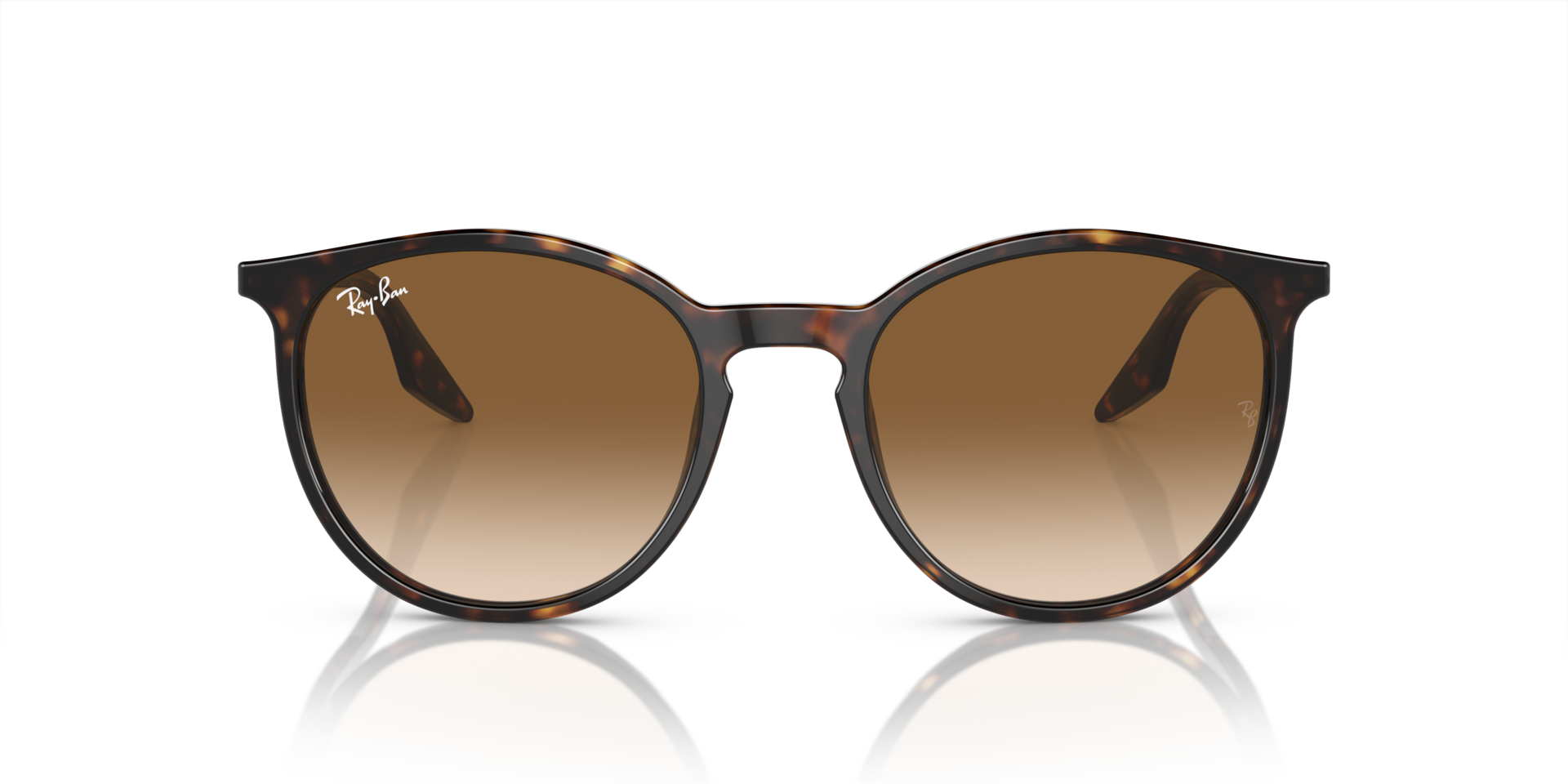 RB2204 Havana AcetatSunglass Frames von B24, Vorderansicht