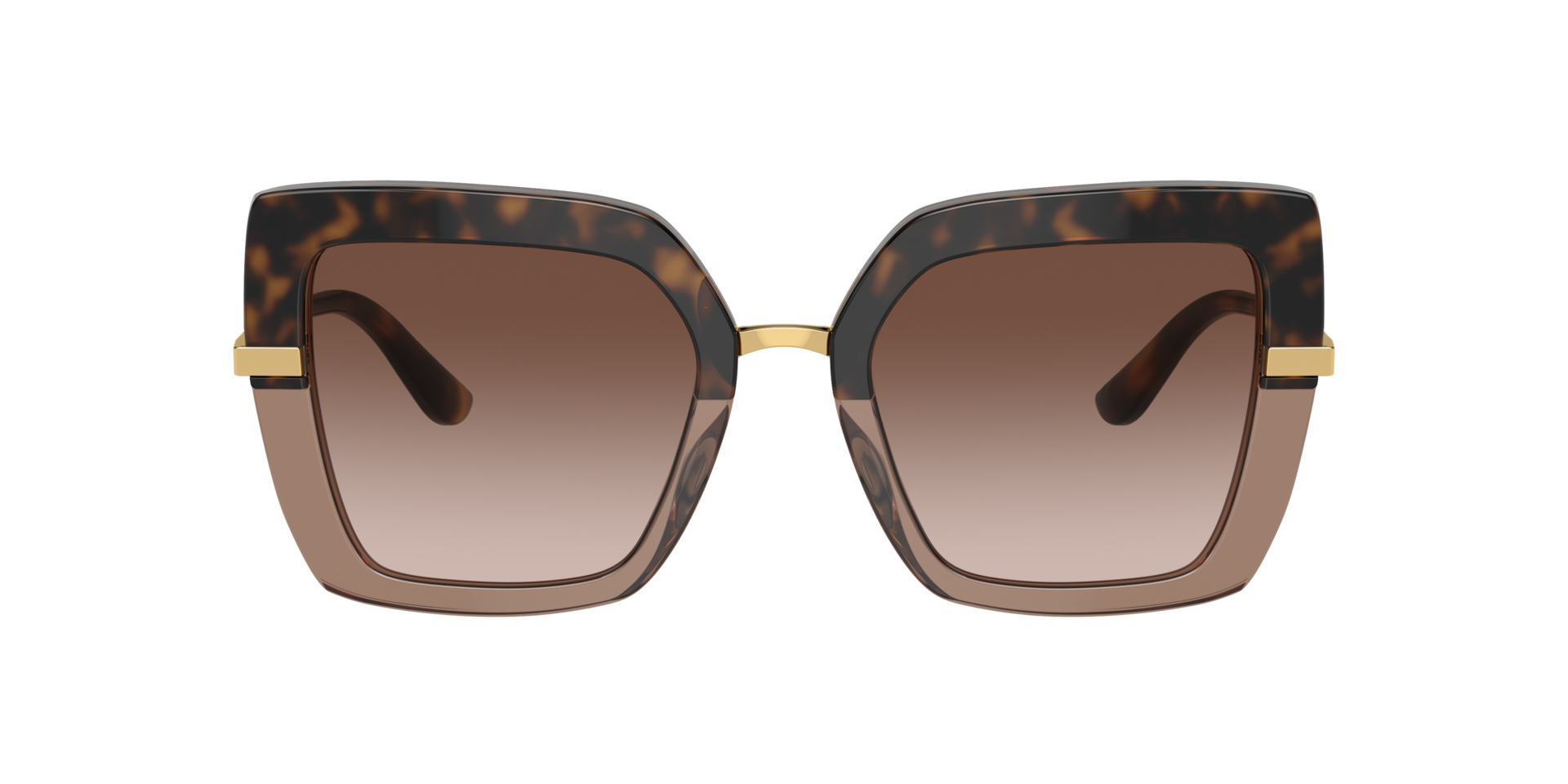 DG4373 Havana op transparant bruin AcetaatSunglass Frames van B24, met getinte lenzen