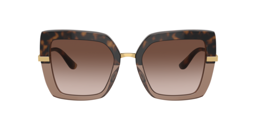 Dolce&Gabbana - DG4373, Damen, Havana auf Braun transparent/black/Black On Transparent Black, Größe: Large