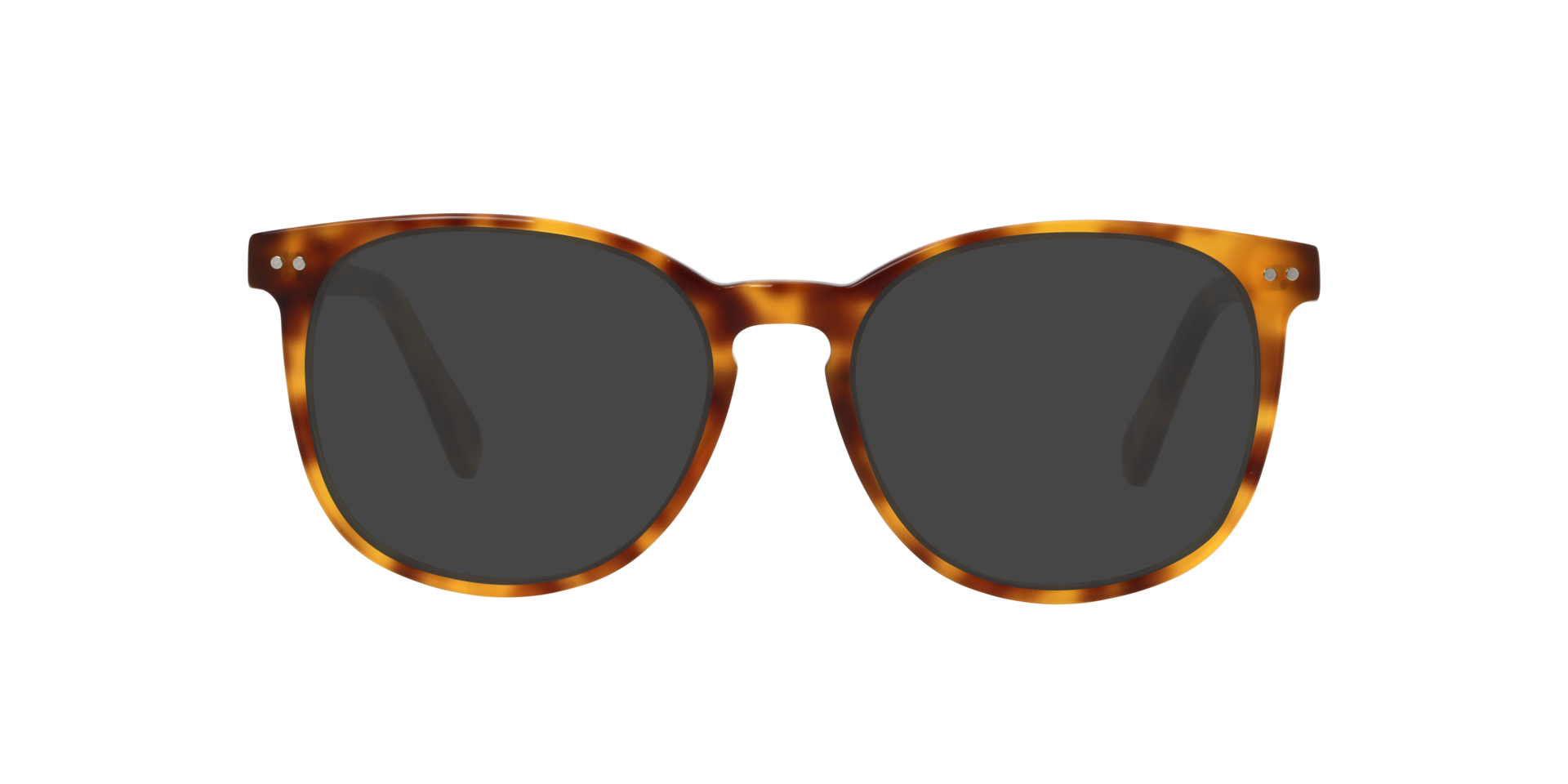 BARRON Hazel Tortoise AcetaatEyeglass Frames van B24, met getinte lenzen