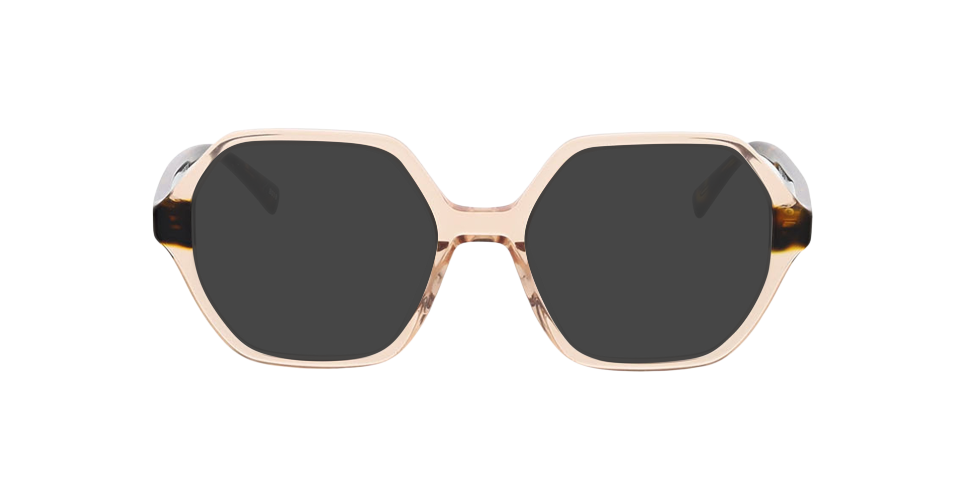 Molly Kristal roze  &  Havana AcetaatEyeglass Frames van B24, met getinte lenzen