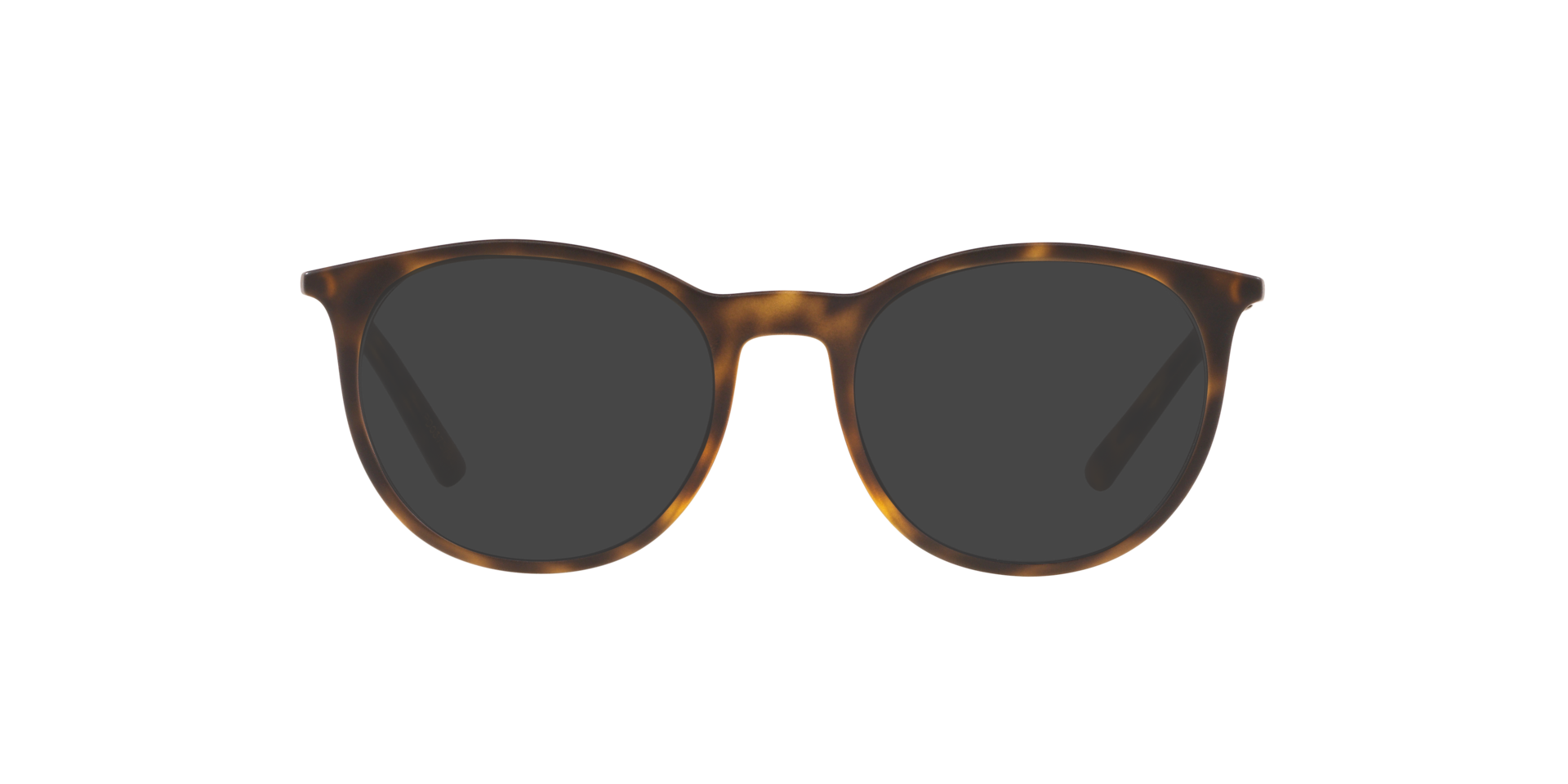 Matt Havana DG5031 -  Plastic Sonnenbrillen