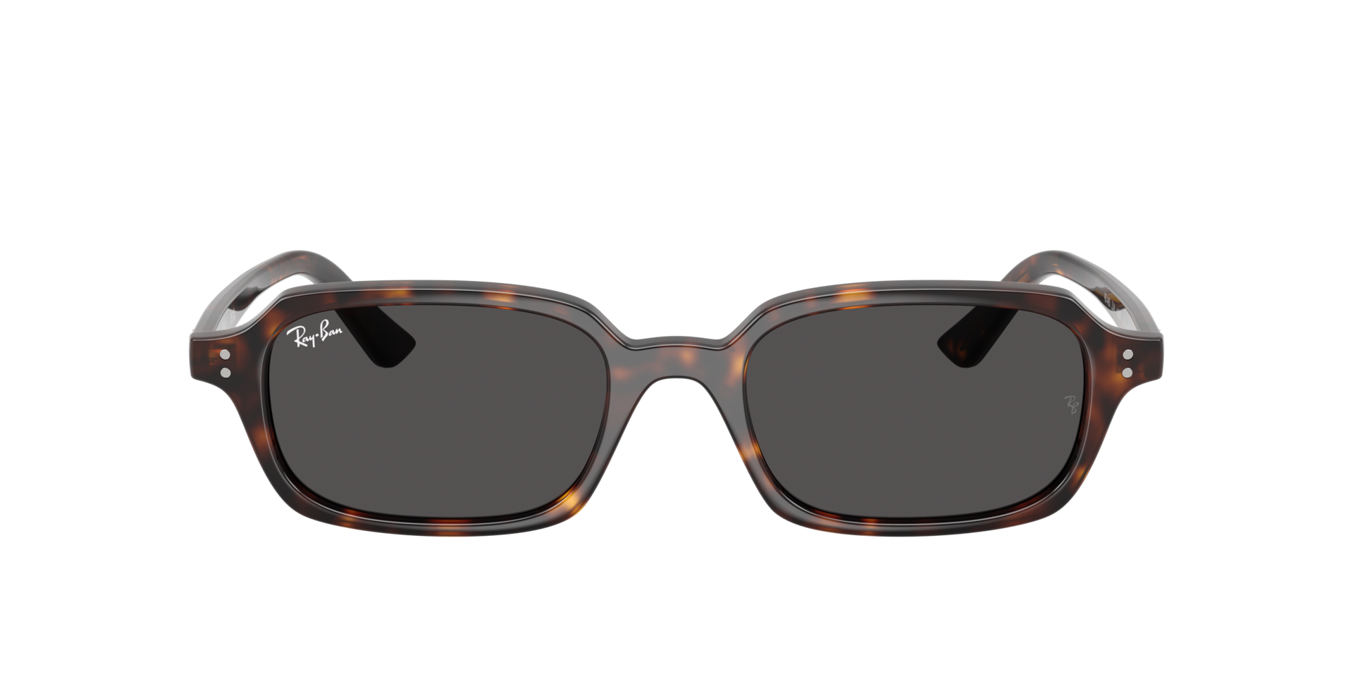Havana RB4455 -  Plastic Zonnebrillen