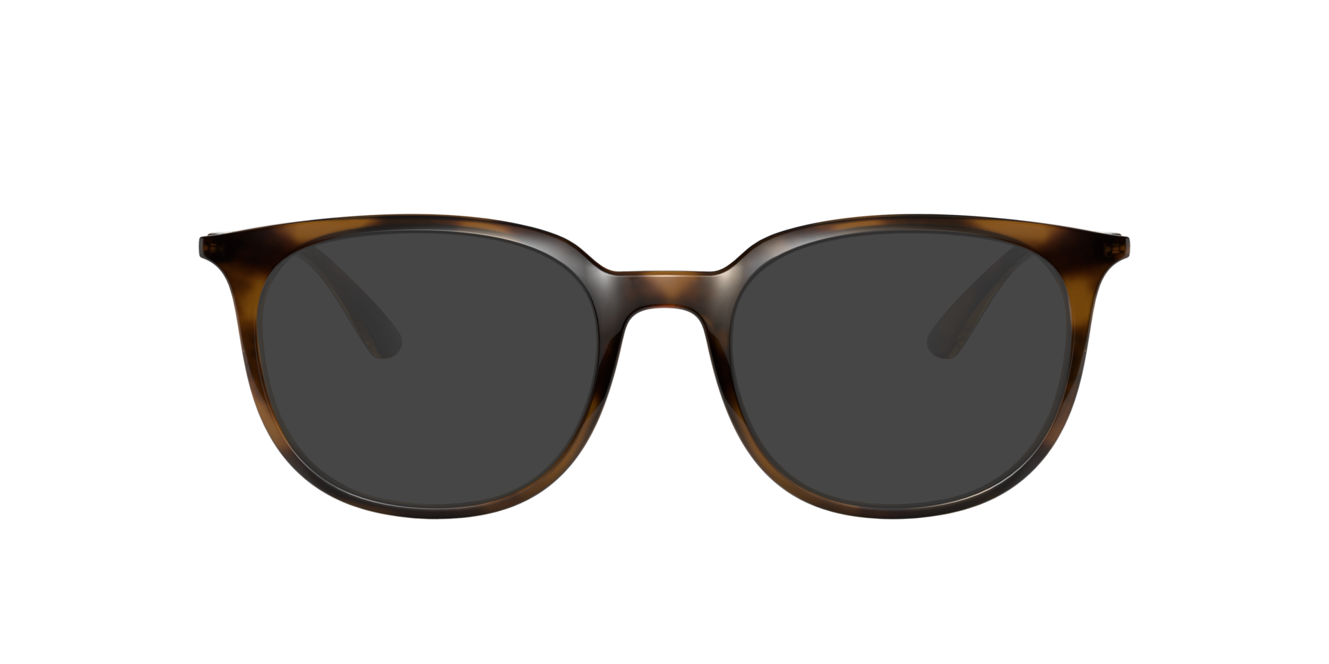 RB7190 Havana KunststoffEyeglass Frames von B24, mit getönten Gläsern