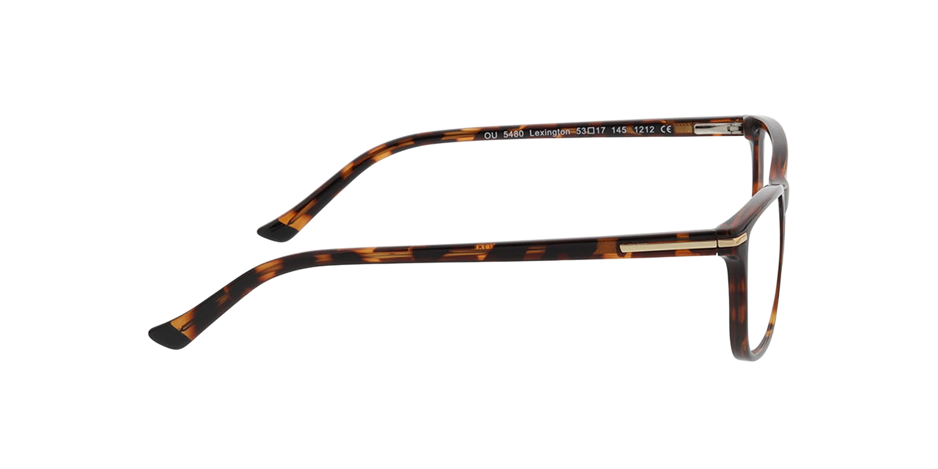 Lexington Havana KunststoffEyeglass Frames von B24, Seitenansicht