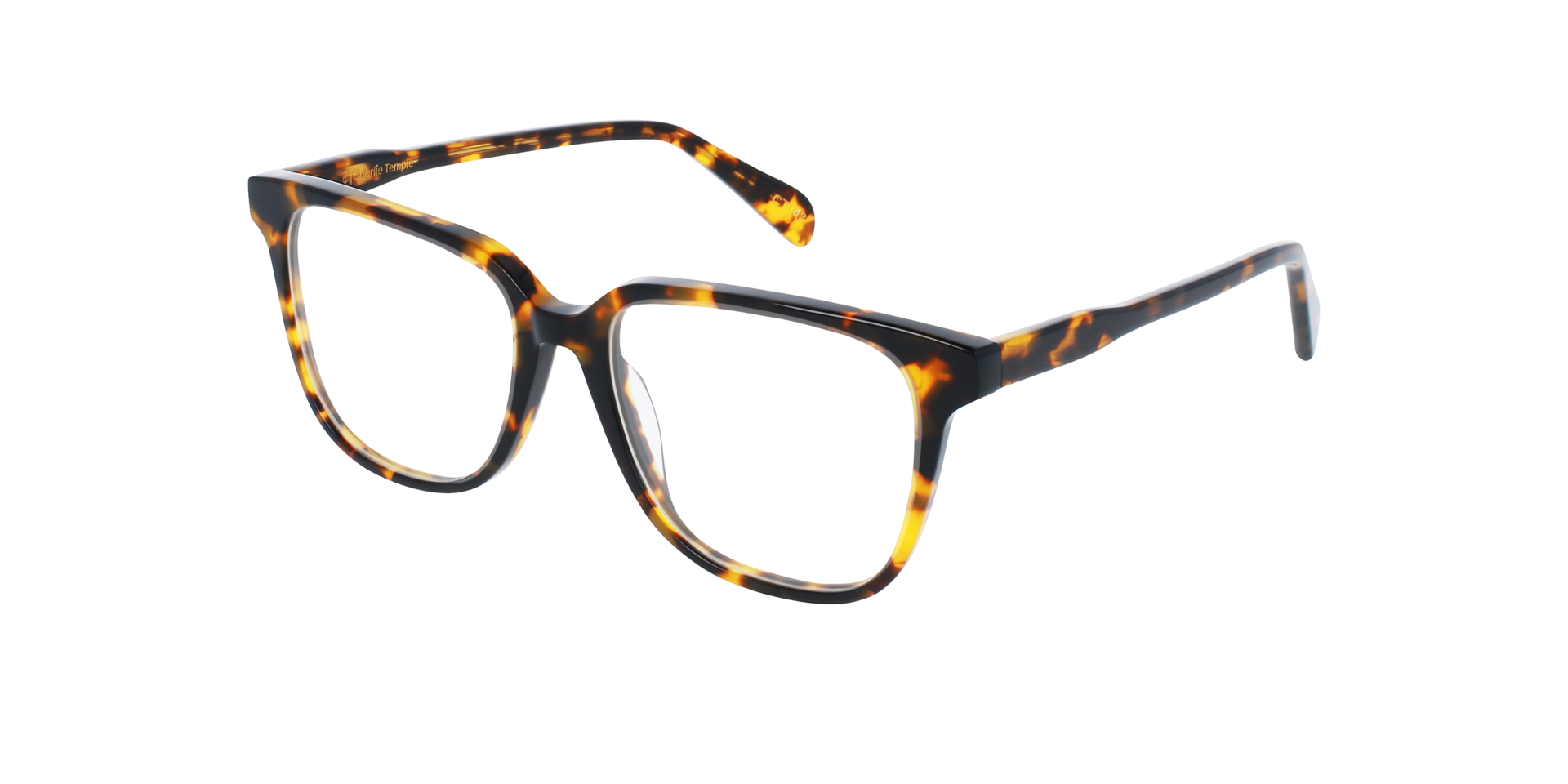 Paxton Garnet Havana AcetaatEyeglass Frames van B24, Hoekweergave