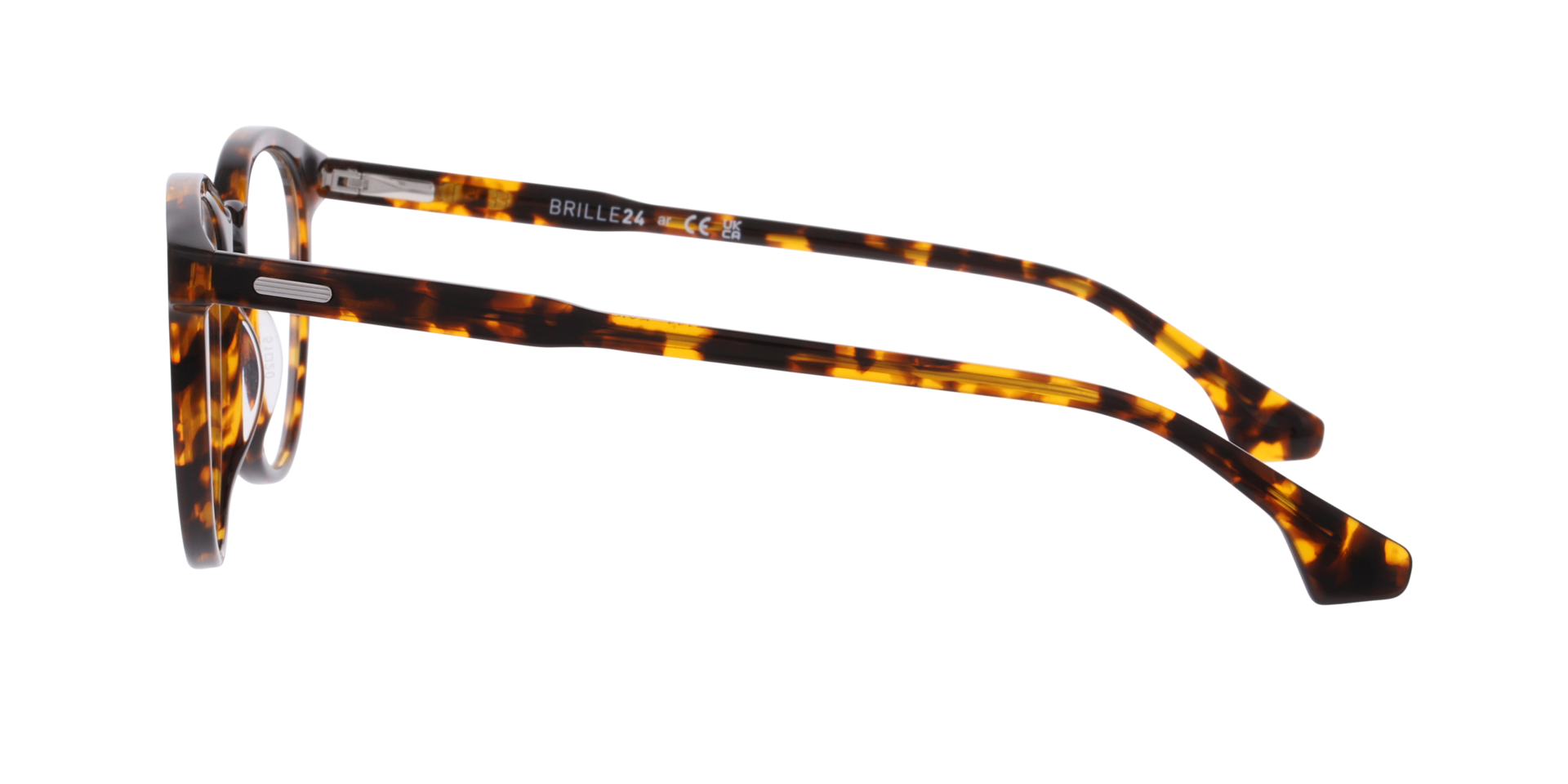Kaio Havana AcetatEyeglass Frames von B24, Seitenansicht