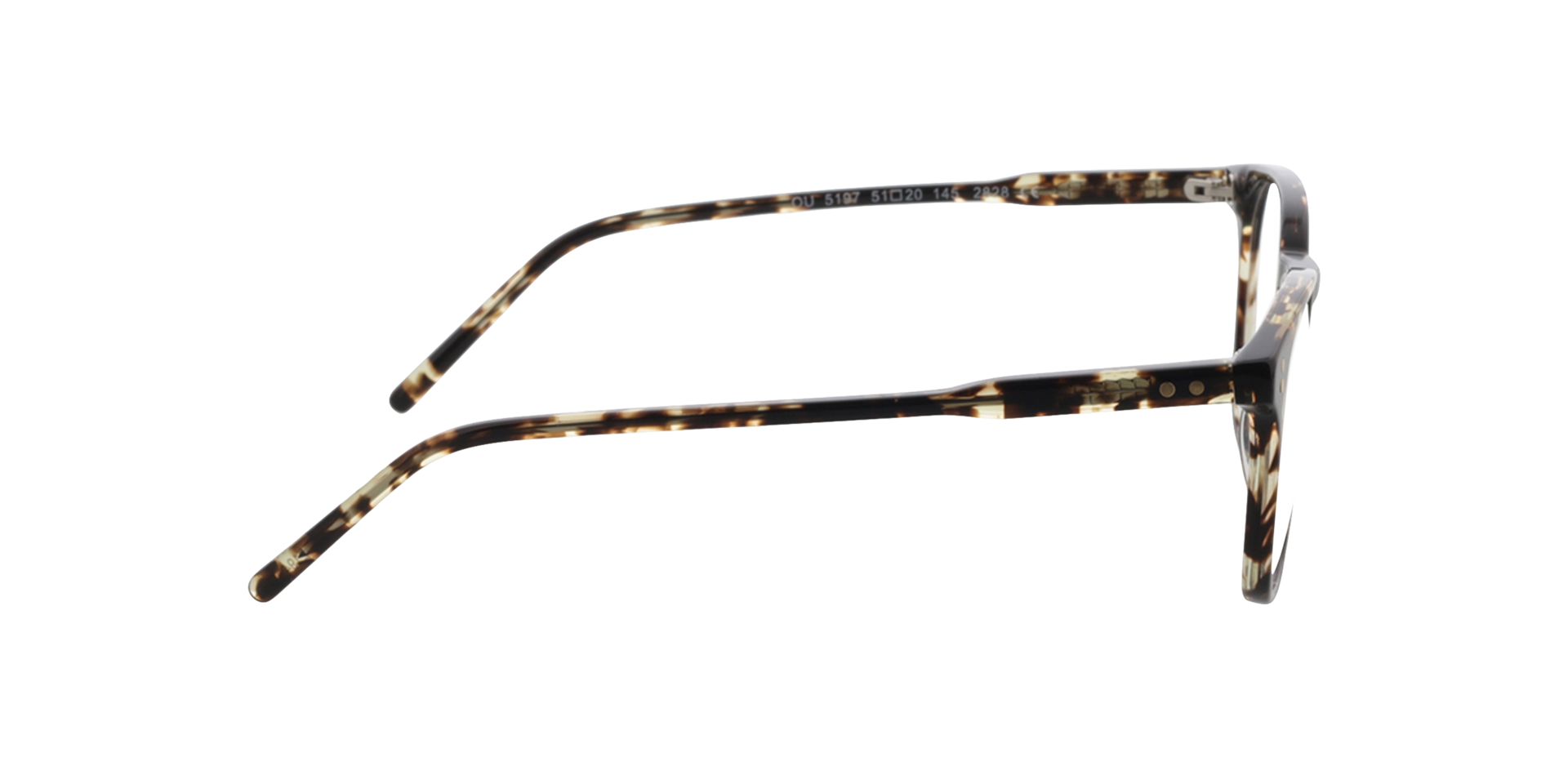 Chelsea Gevlekt Havana AcetaatEyeglass Frames van B24, Zijaanzicht