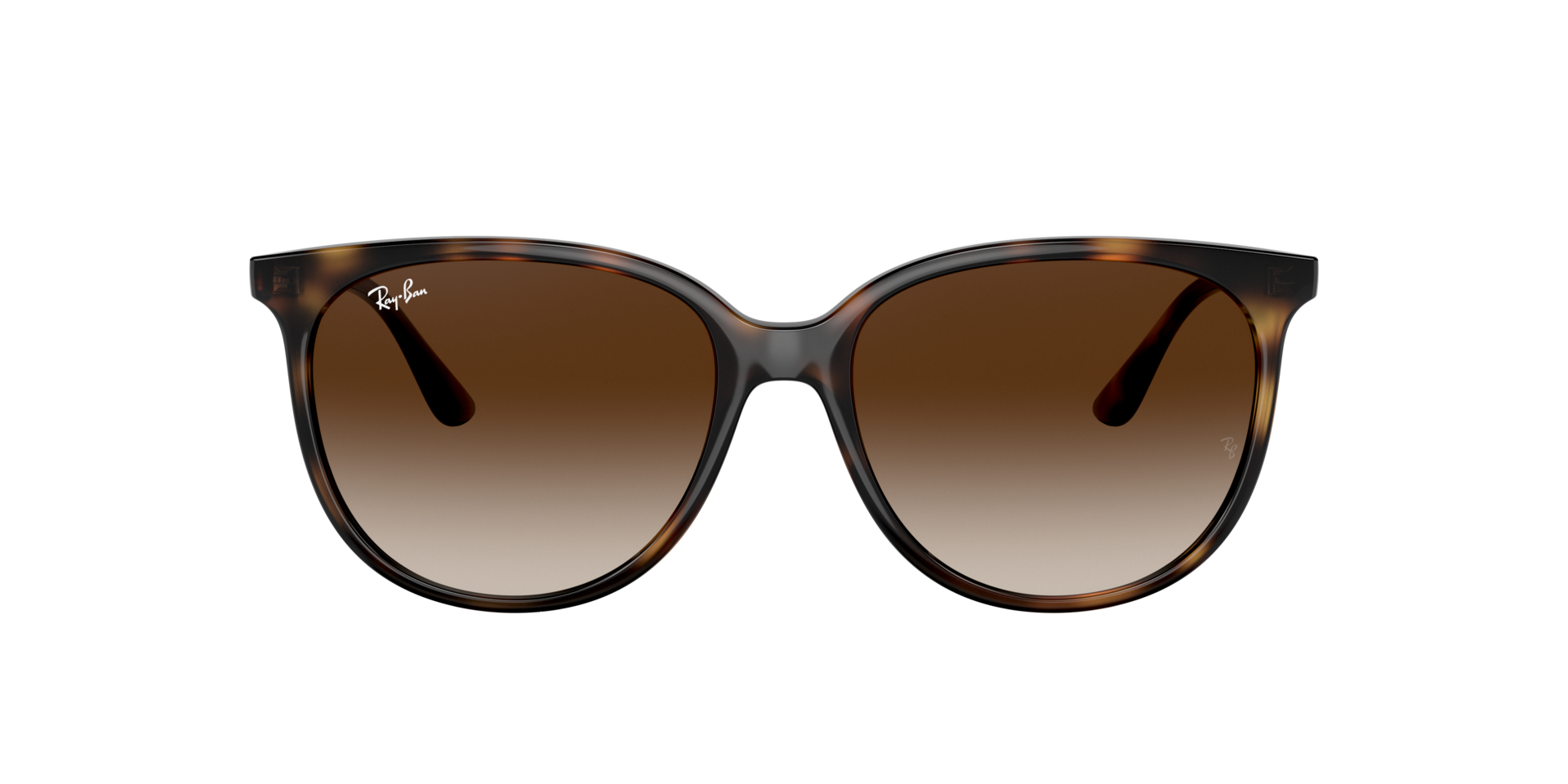 Havana RB4378 -  Plastic Sonnenbrillen