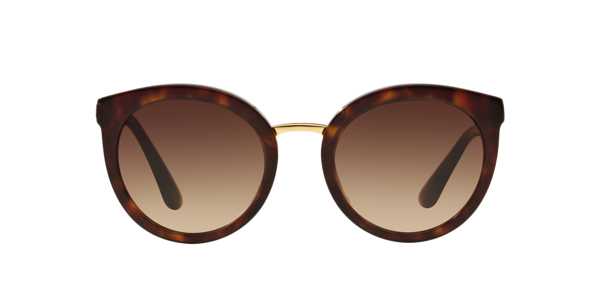 Havana DG4268 -  Acetate Zonnebrillen