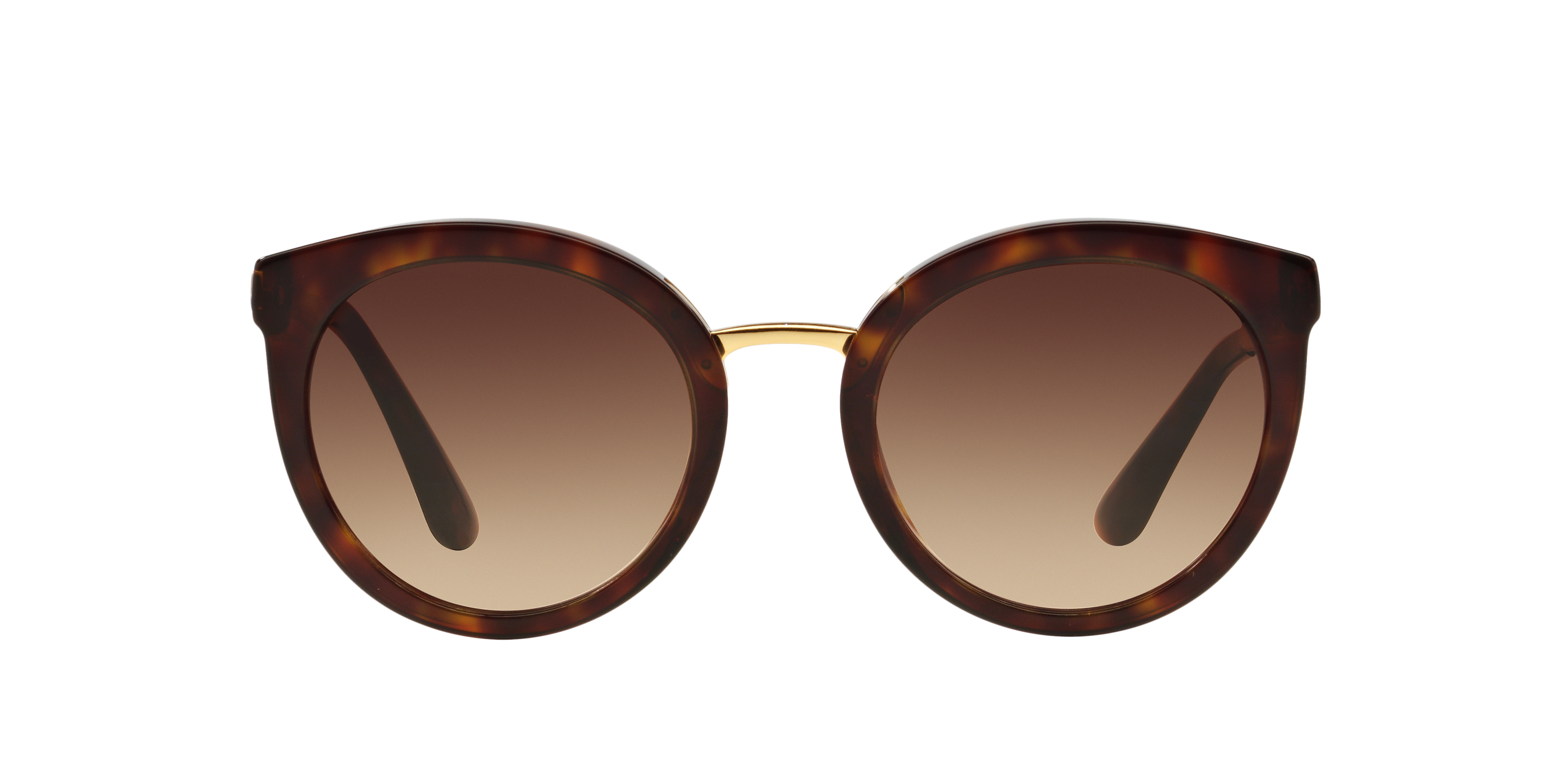 Dolce&Gabbana Damen Havana,Black 8053672498615 Havana/Black/, Size: Large